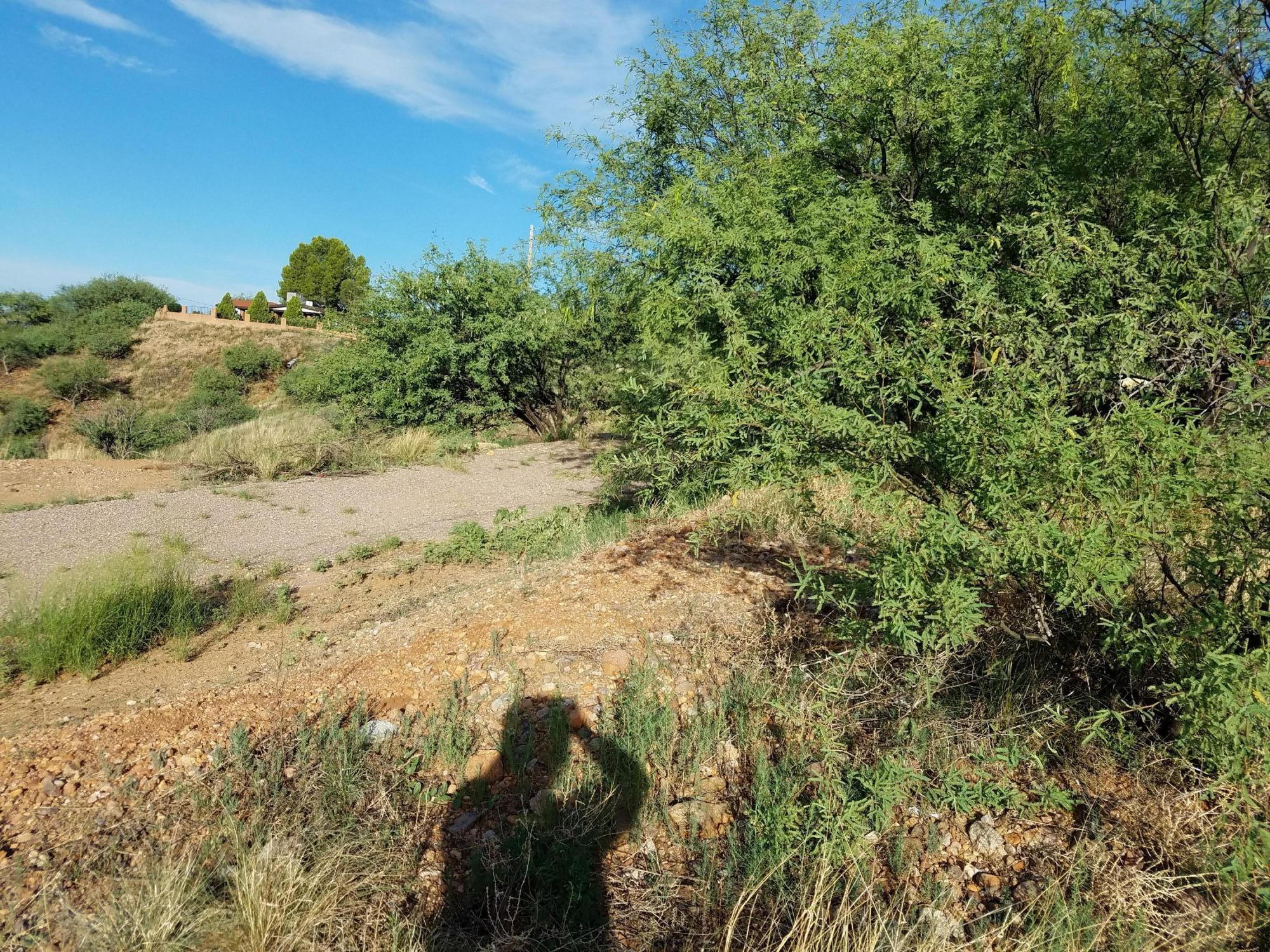Rio Rico Estates 8 - Land