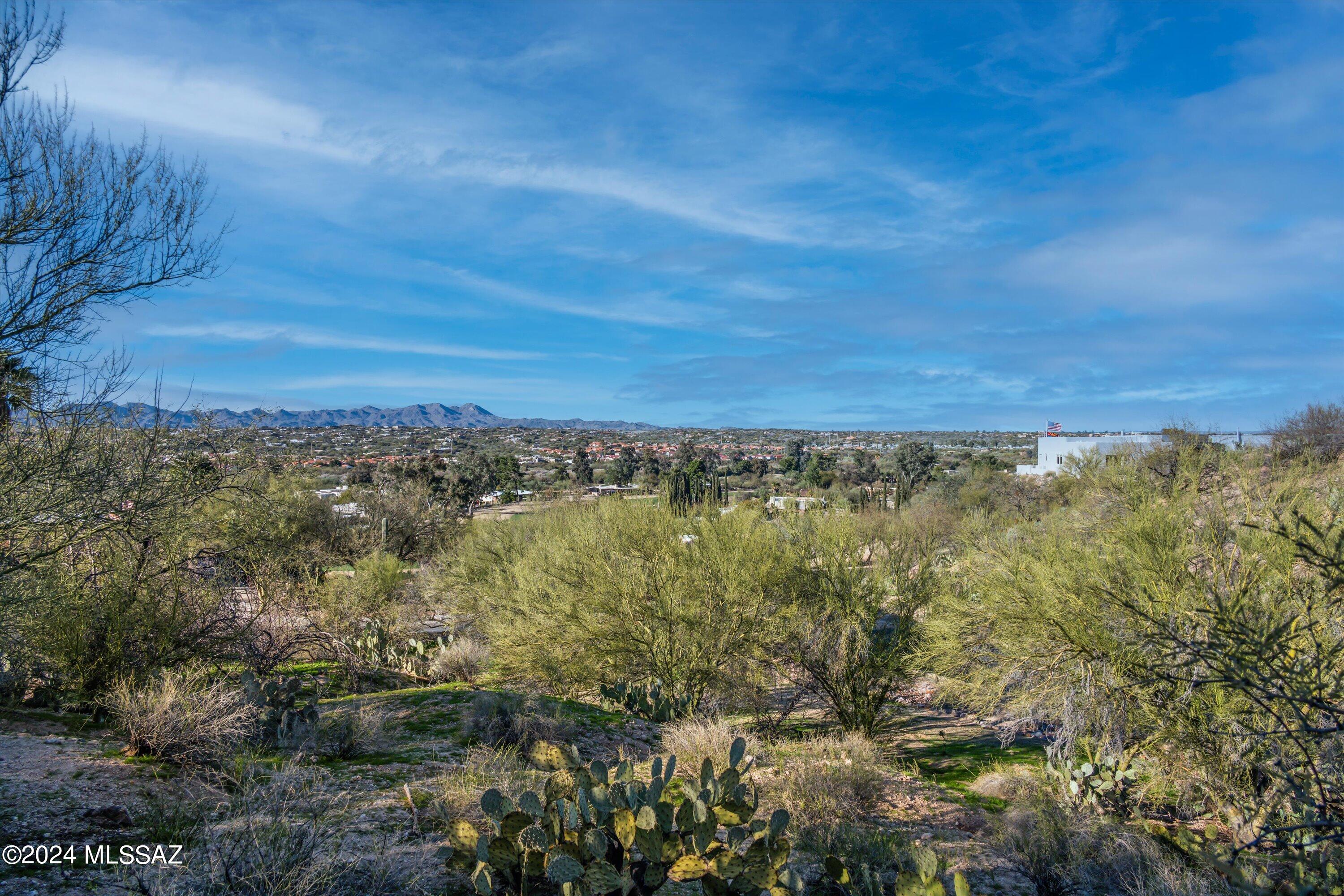 Oro Valley Estates - Land