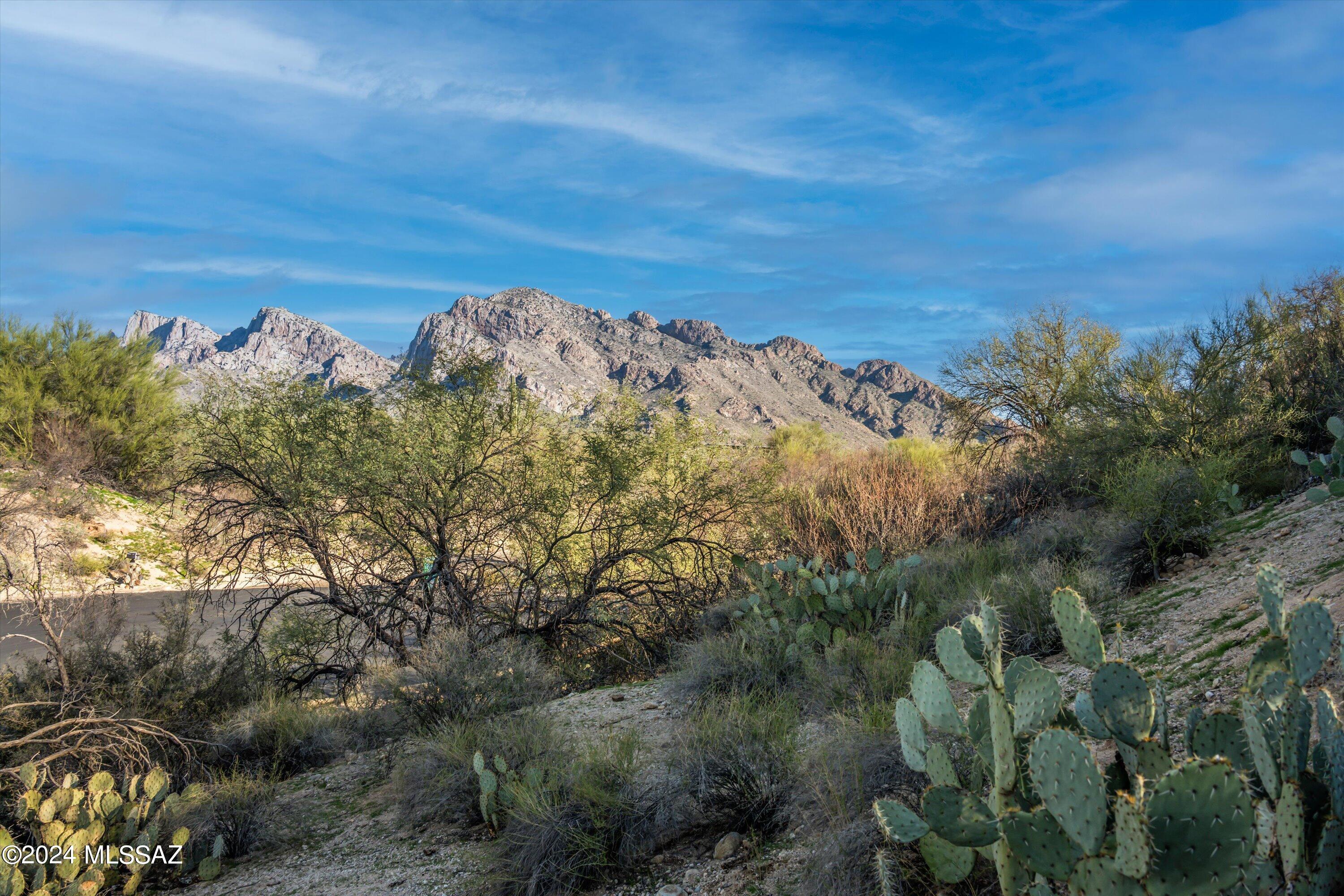 Oro Valley Estates - Land