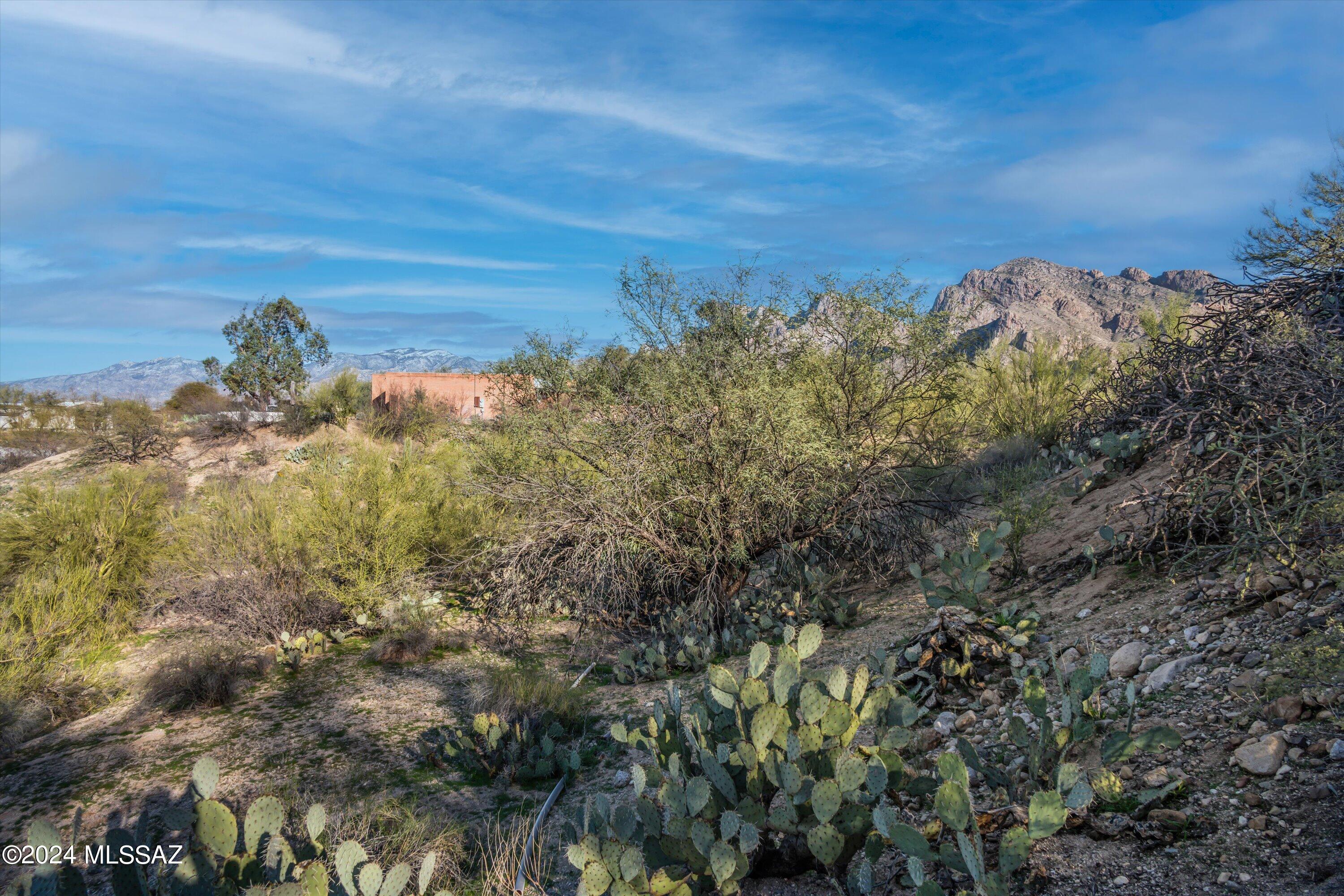 Oro Valley Estates - Land