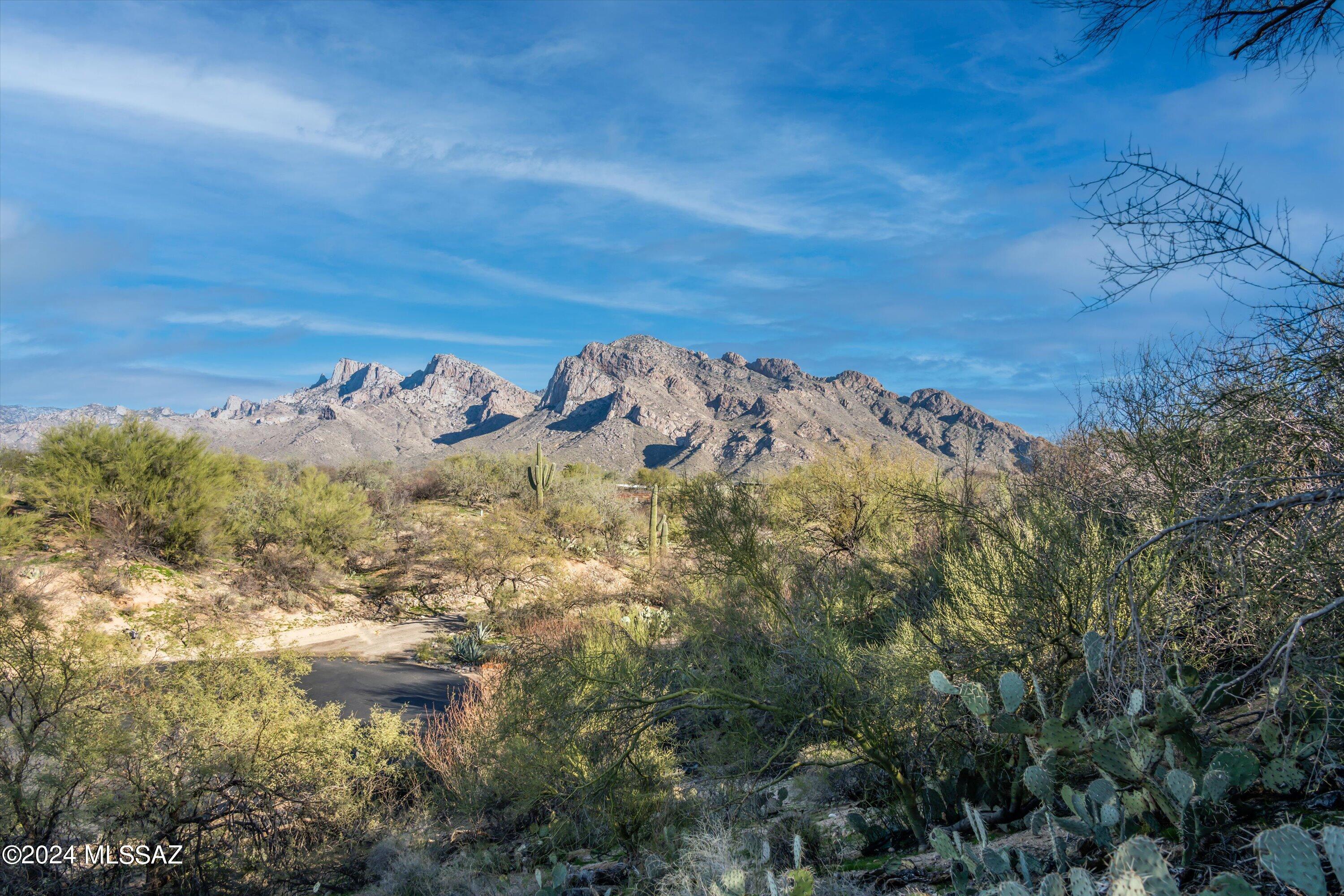 Oro Valley Estates - Land