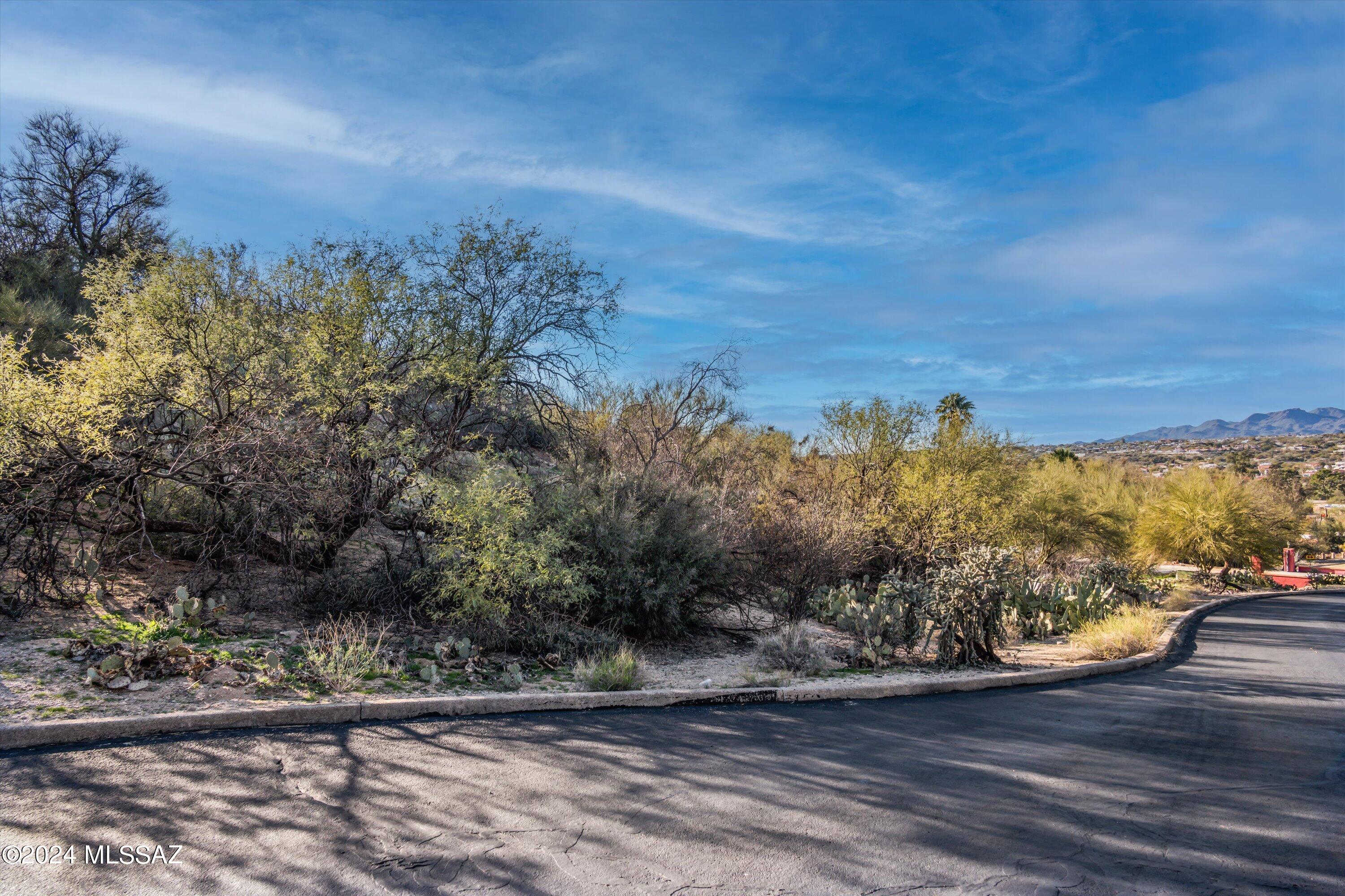 Oro Valley Estates - Land