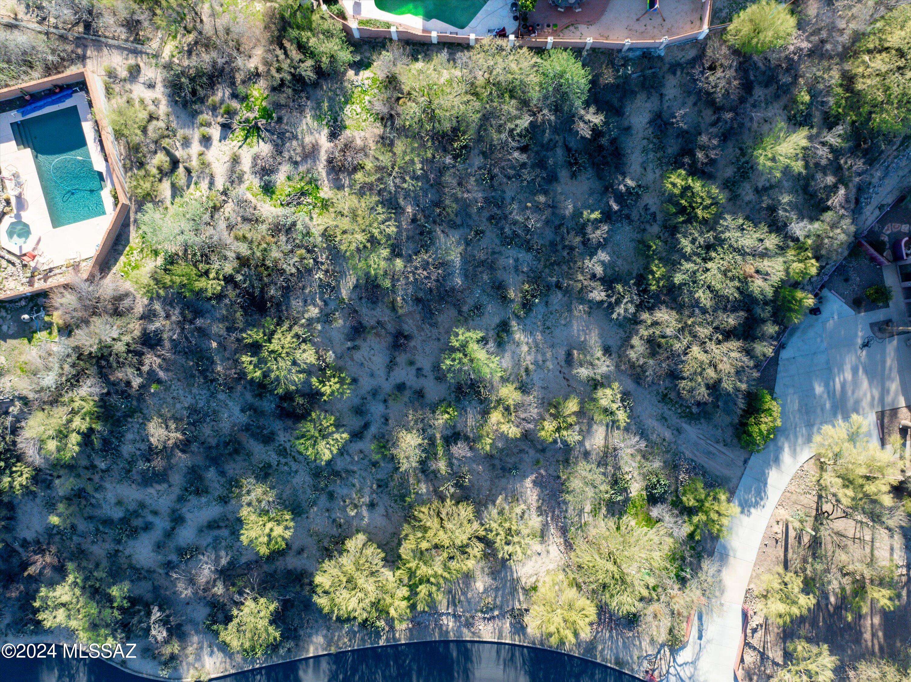 Oro Valley Estates - Land