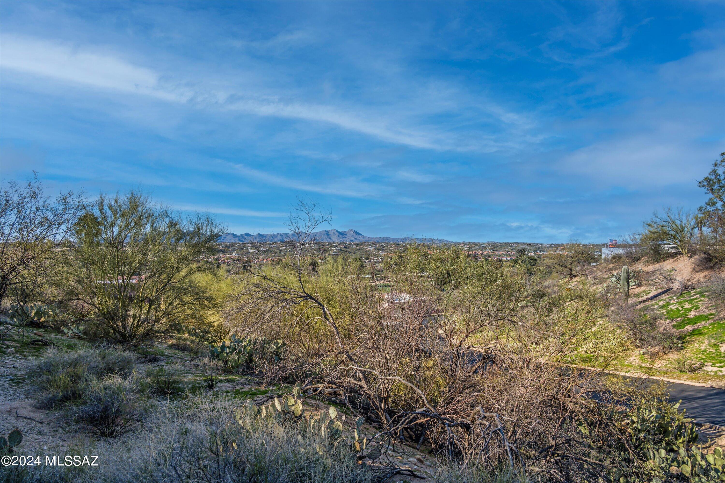 Oro Valley Estates - Land