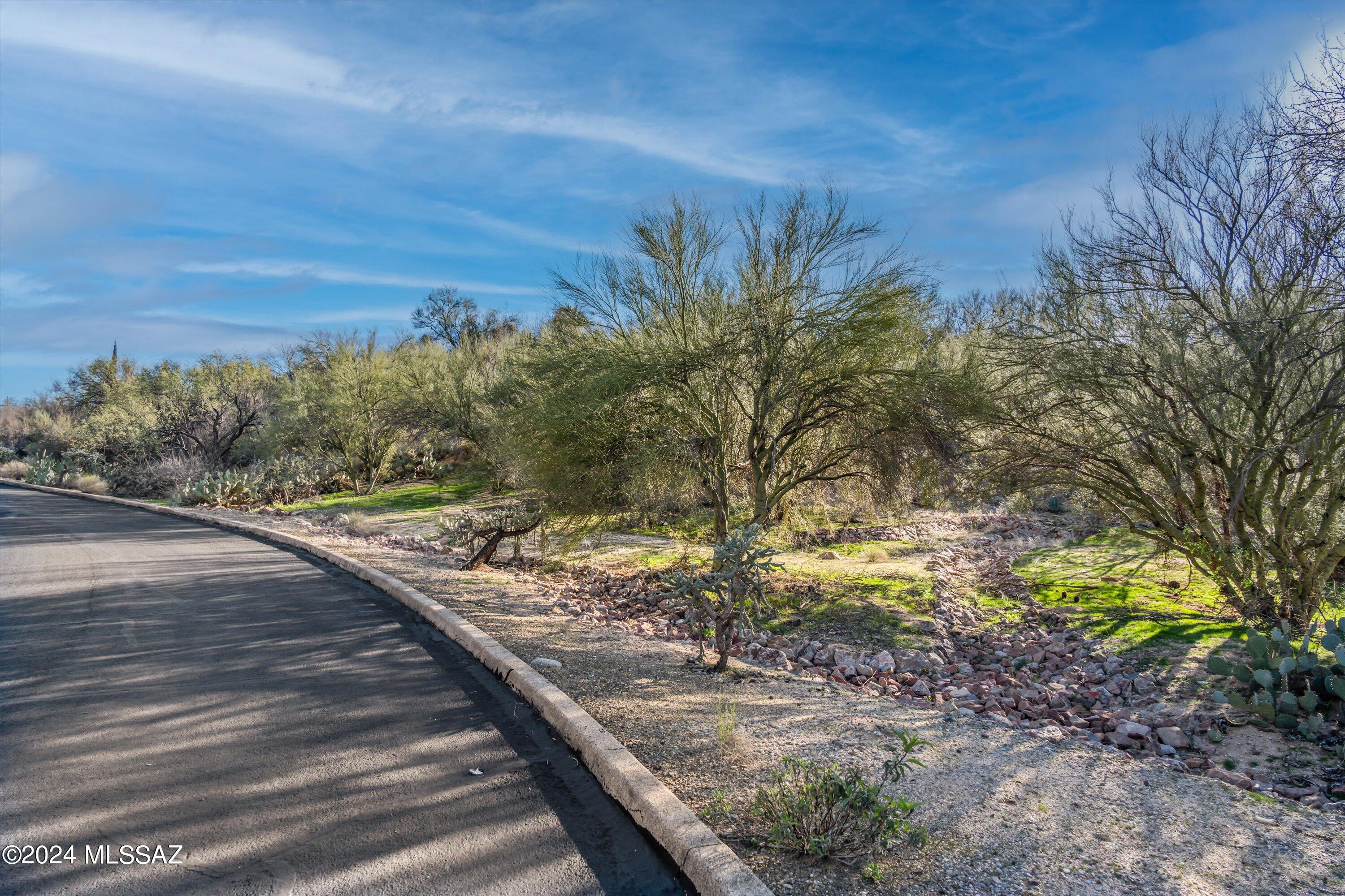 Oro Valley Estates - Land