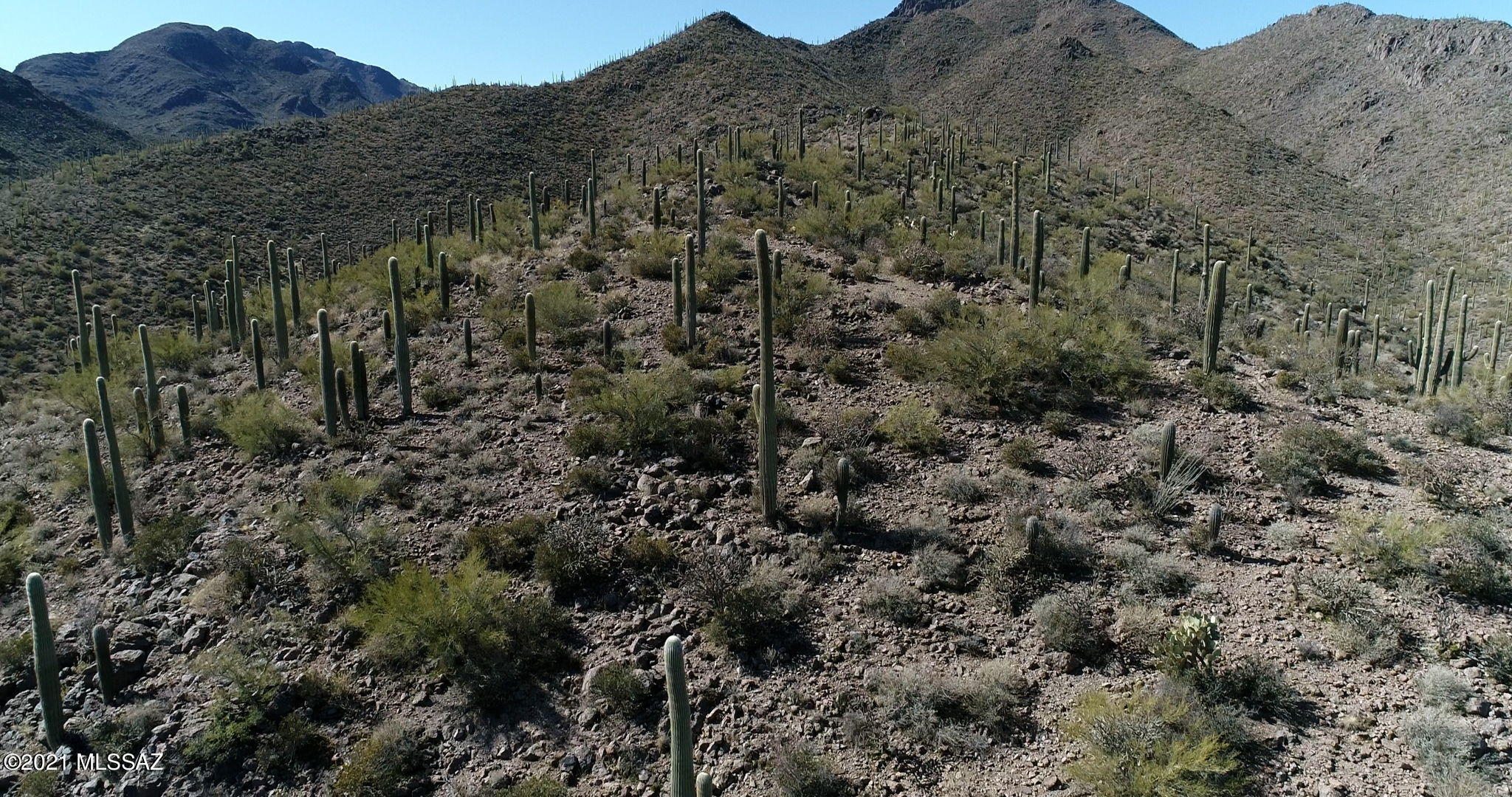 Mountain Garden Estates (12-64) - Land