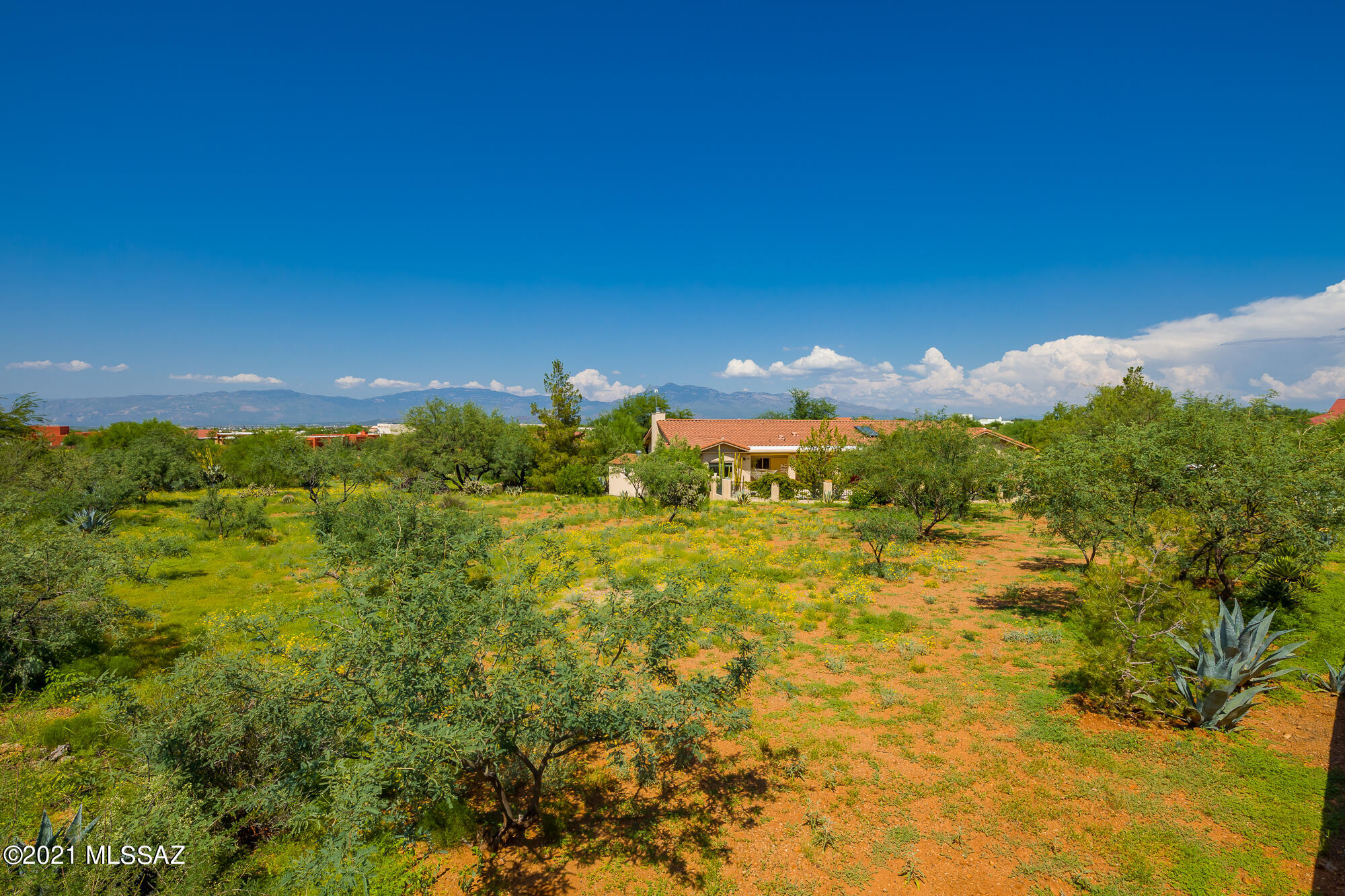 New Tucson Unit  NO. 26 - Residential