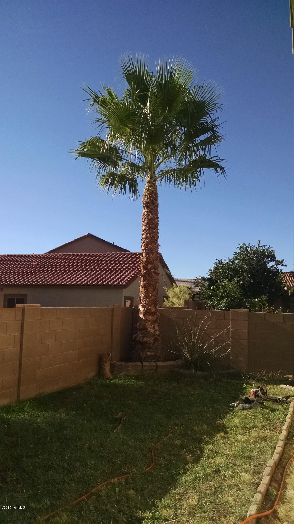 Sonora At Rancho Sahuarita (475-699) - Residential