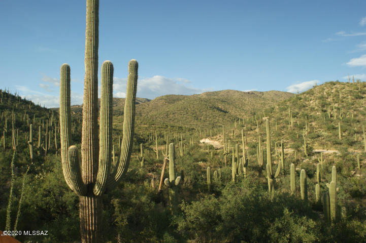 SPECTACULAR 3.38 ACRES OF LUSH SONORAN DESERT ON PARCEL 11 AT THE MAGNIFICENT RINCONADO ESTATES IN NORTHEAST TUCSON. BEAUTIFUL NATURAL DESERT WITH LARGE, MATURE SAGUAROS AND STUNNING VIEWS IN ALL DIRECTIONS. THIS PARCEL HAS INCREDIBLE MOUNTAIN AND CANYON VIEWS. VERY PRIVATE! IMPECCABLE QUALITY IMPROVEMENTS, ALL UNDERGROUND FOR THE 14 LOTS IN THIS SMALL, QUIET, PRIVATE GATED COMMUNITY. THOUGHTFUL DESIGN GUIDELINES ENSURE VALUES AND A PREMIUM NEIGHBORHOOD. THIS LOT IS PRICED TO SELL WELL UNDER THE DEVELOPERS COSTS. ALL AMENITIES AND GREAT SCHOOLS ARE NEARBY AS WELL AS THE SAGUARO NATIONAL MONUMENT EAST, REDINGTON PASS, THE TANQUE VERDE WASH AND AGUA CALIENTE PARK. MUST SEE! ONE OF THE PRINCIPALS IS A LICENSED REAL ESTATE SALESPERSON IN THE STATE OF ARIZONA.