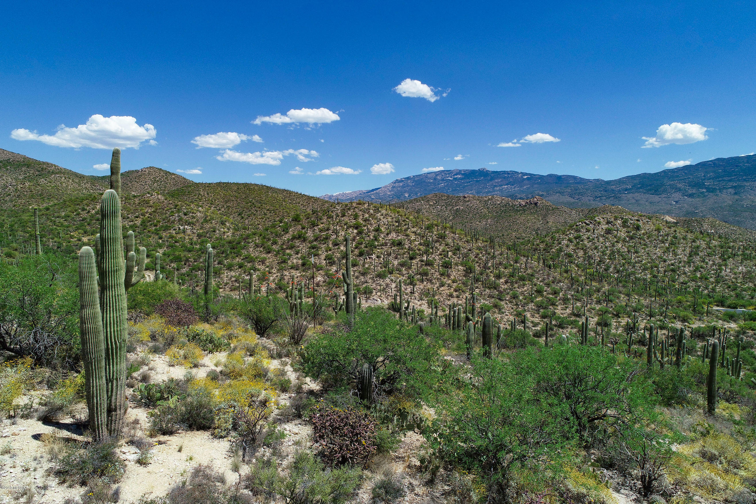Rinconado Estates (1-13) - Land