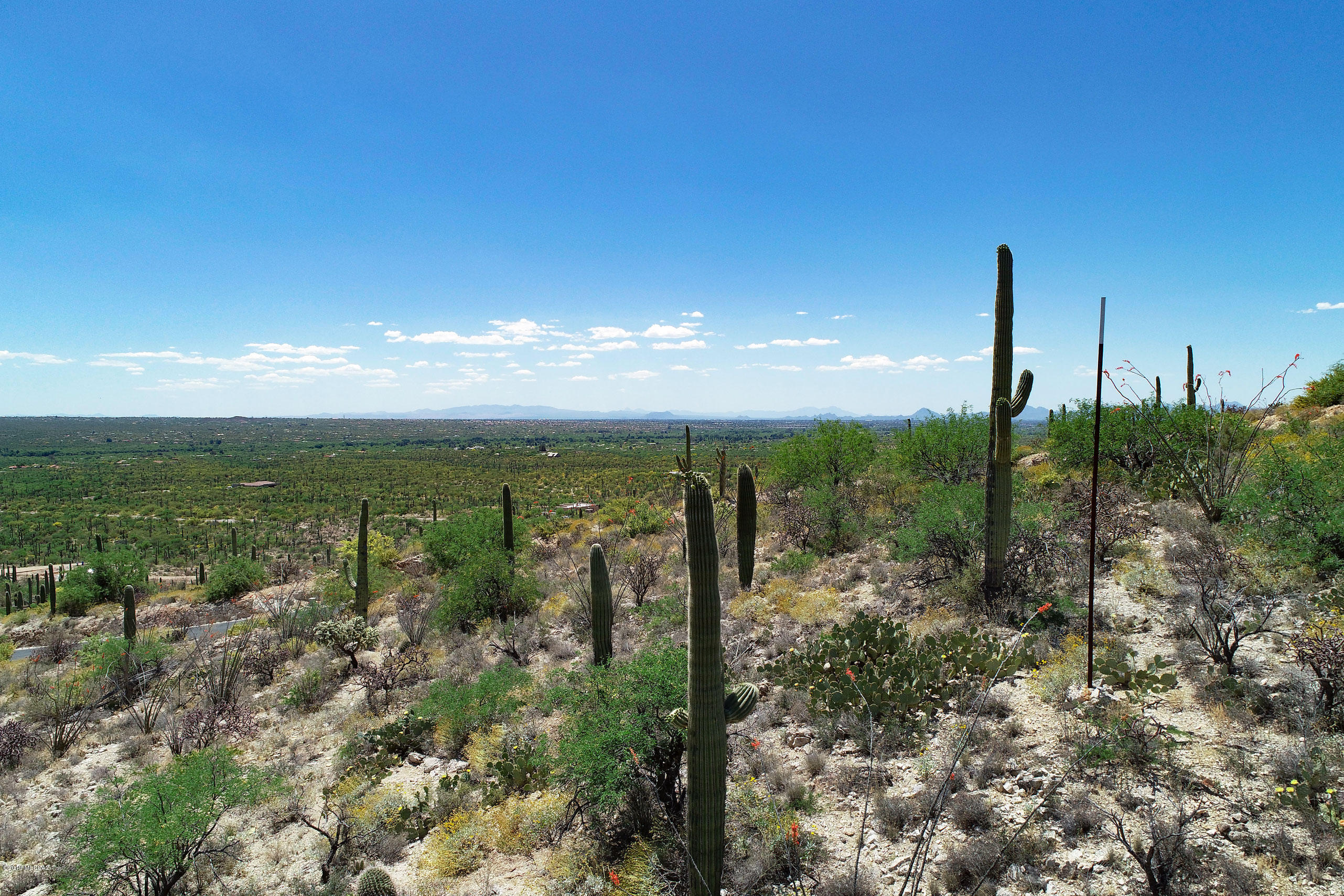 Rinconado Estates (1-13) - Land