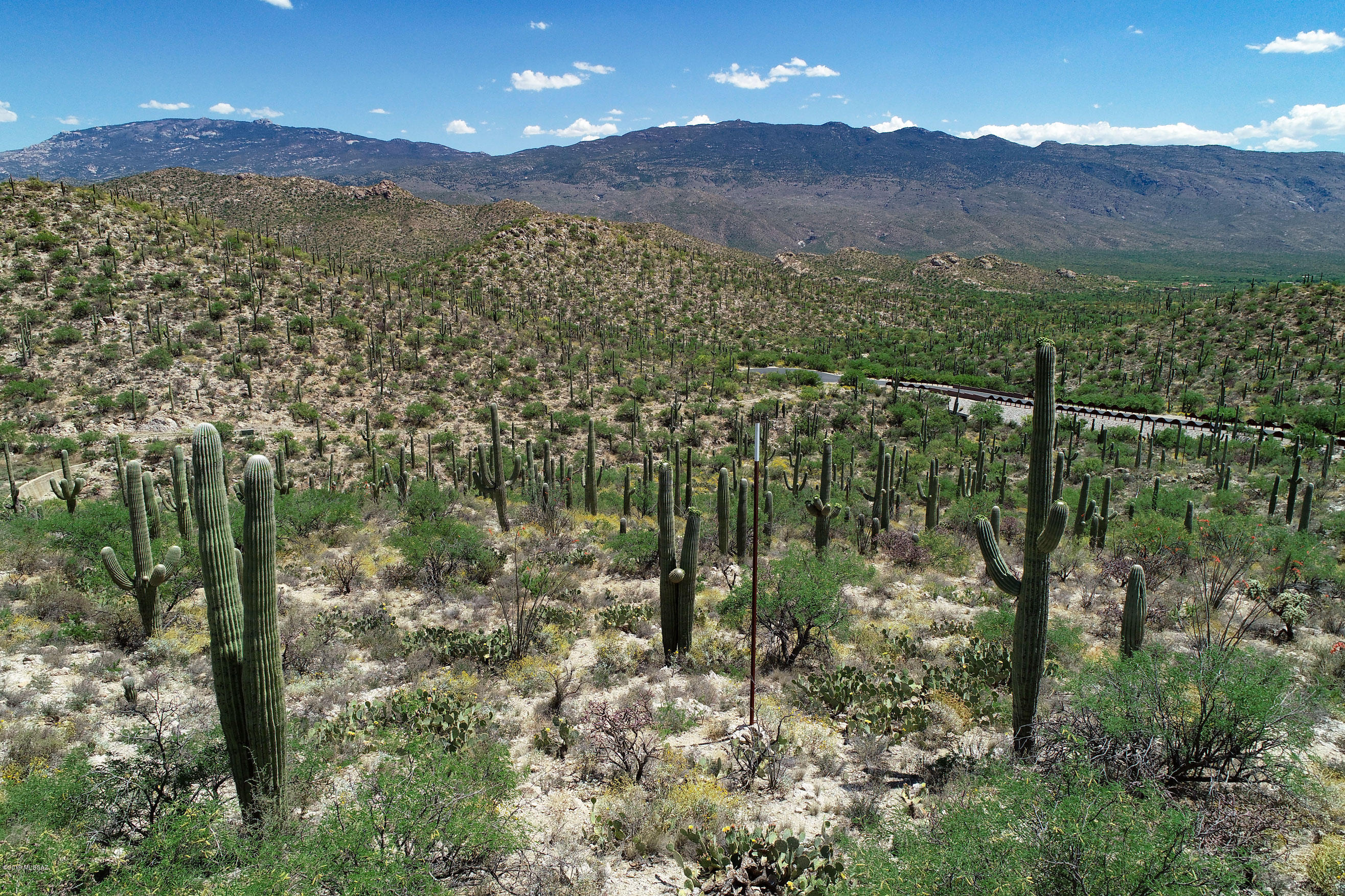 Rinconado Estates (1-13) - Land