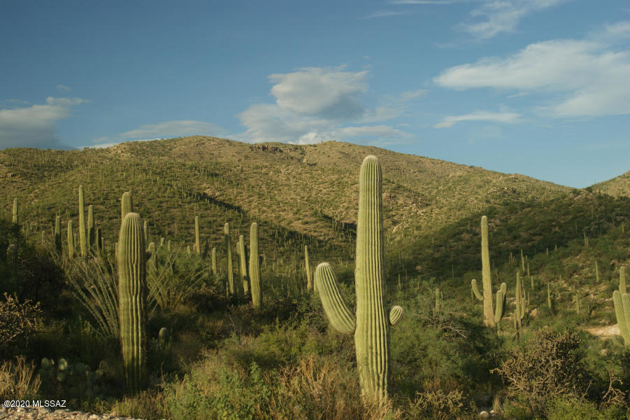 Rinconado Estates (1-13) - Land