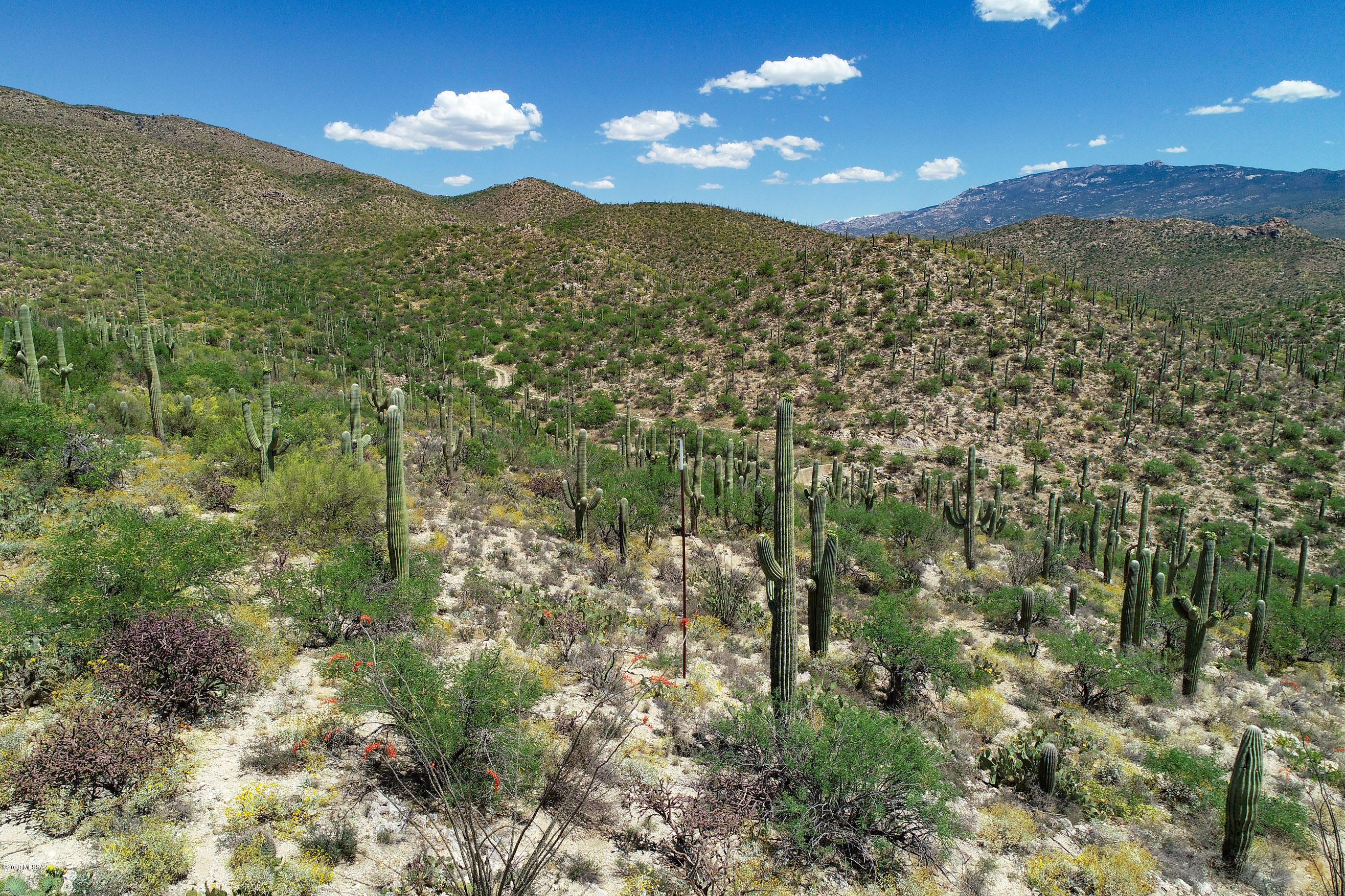 Rinconado Estates (1-13) - Land
