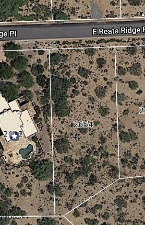 Nice lot in the desert