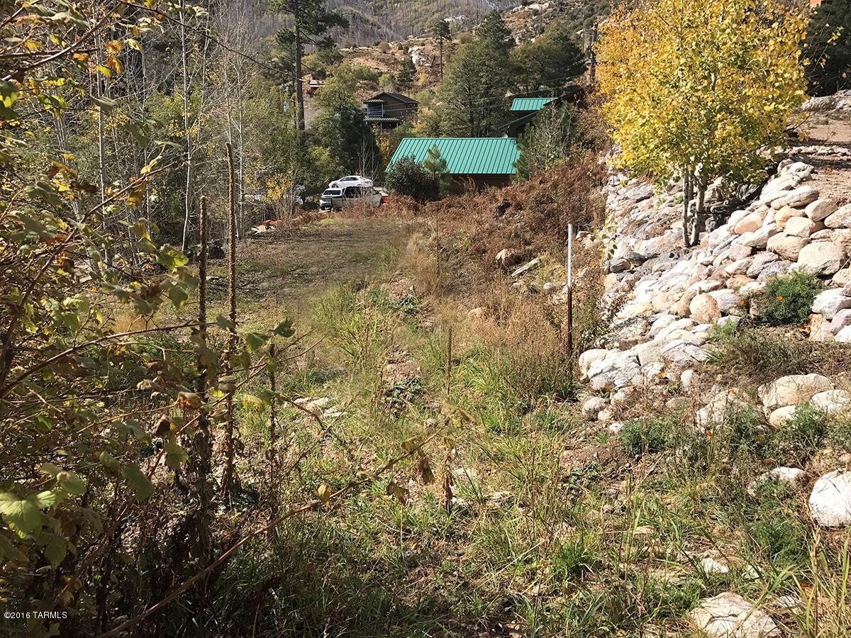 Ready for sewer connection! Easy-build lot right in the heart of Summerhaven.
Short walk to restaurants, community center. Great access from paved county road to property.
