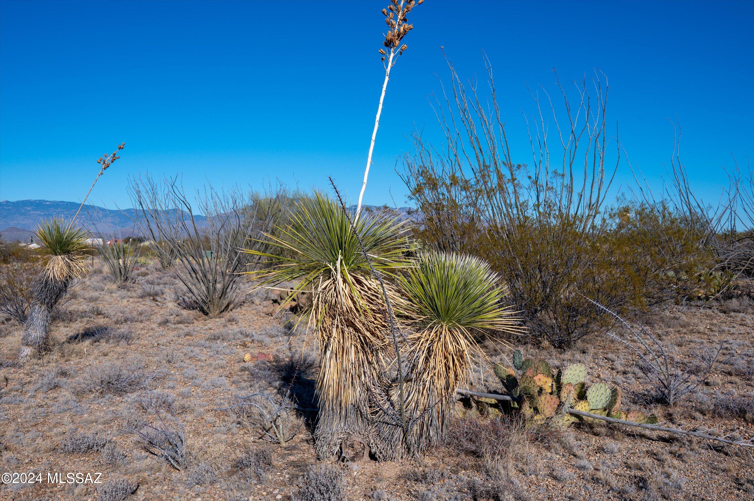 New Tucson Unit NO. 28 - Land