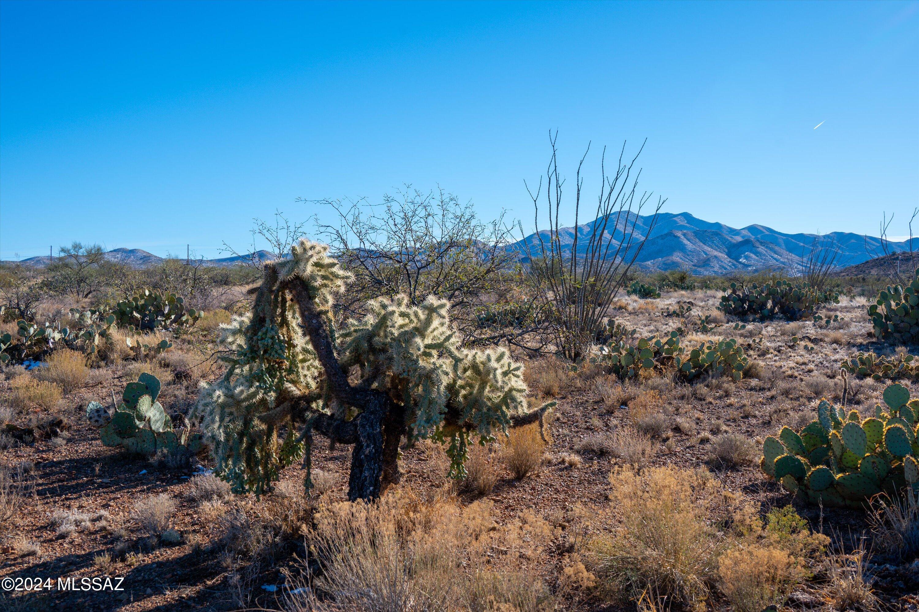 New Tucson Unit NO. 28 - Land