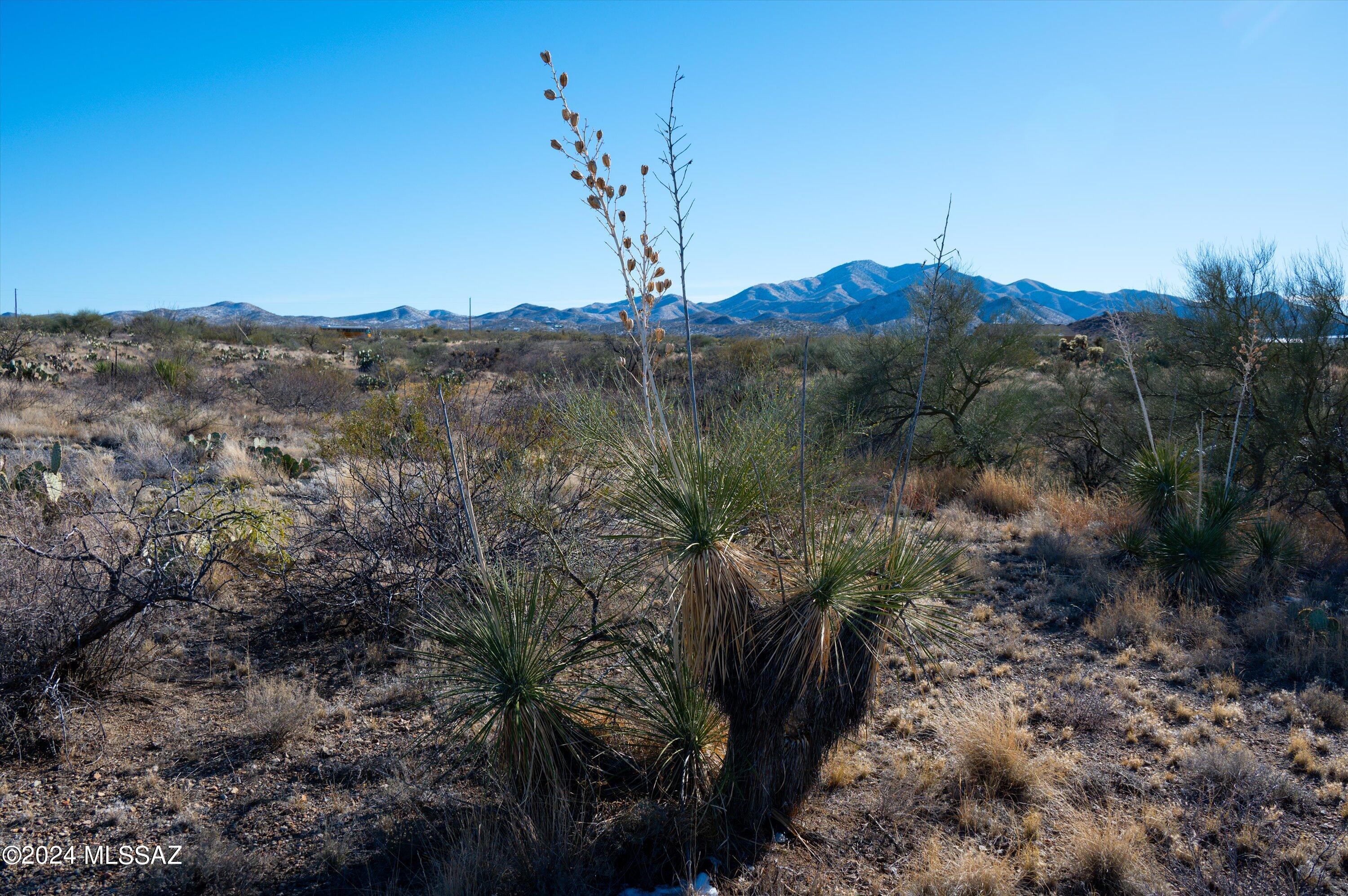 New Tucson Unit NO. 28 - Land