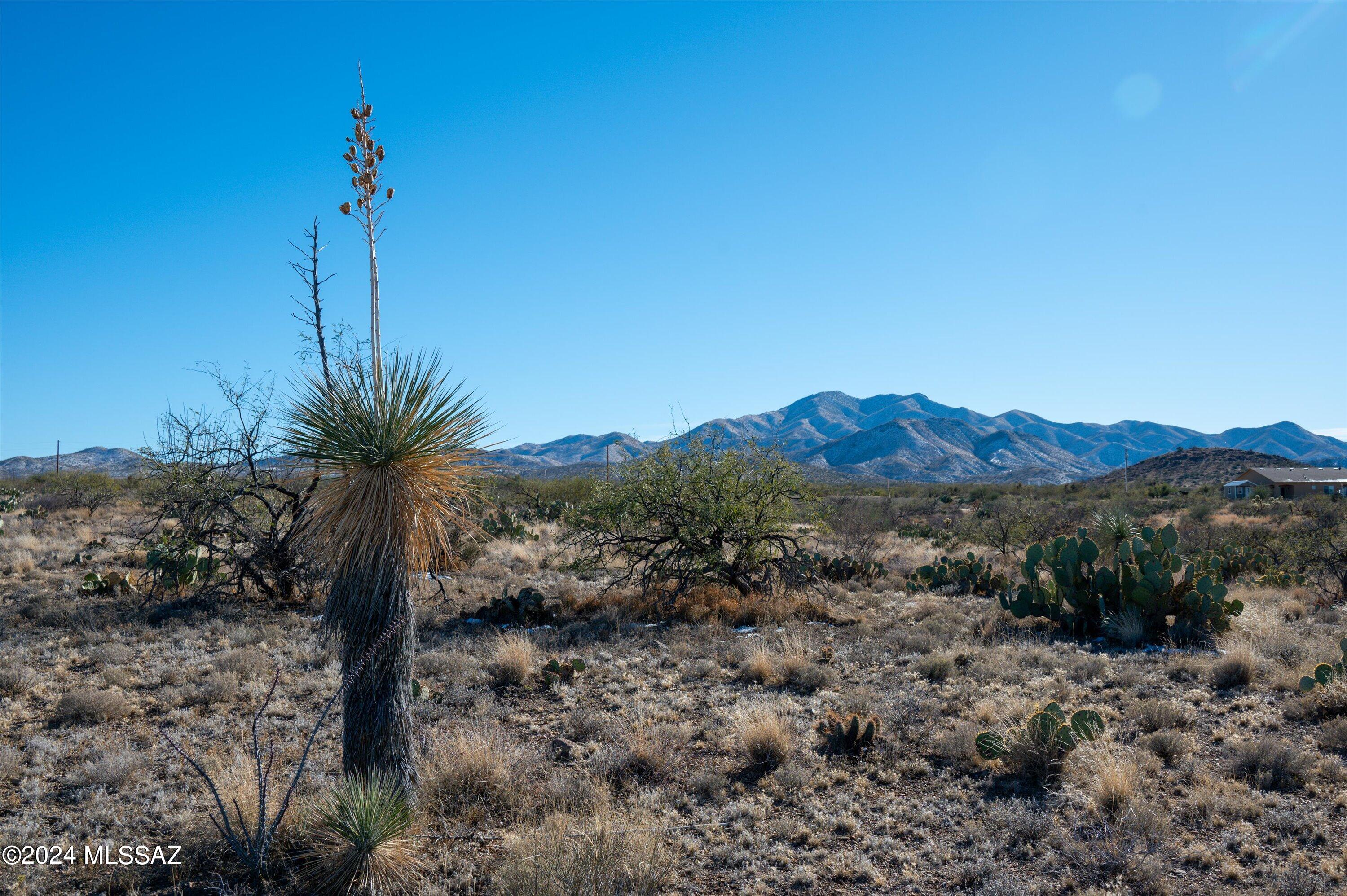 Whether you envision a sprawling estate, a charming ranch-style home, or a modern retreat, this 1 acre 360-degree mountain view lot provides the blank canvas to turn your visions into reality. This high, flat parcel offers a private well that has been drilled, electricity is readily available at the property. NO HOA. Bring your horses, boat and RV. Enjoy easy access to I-10, allowing for a seamless commute to nearby amenities while still reveling in the tranquility of your expansive surroundings. Located in The Award-Winning Vail School District.