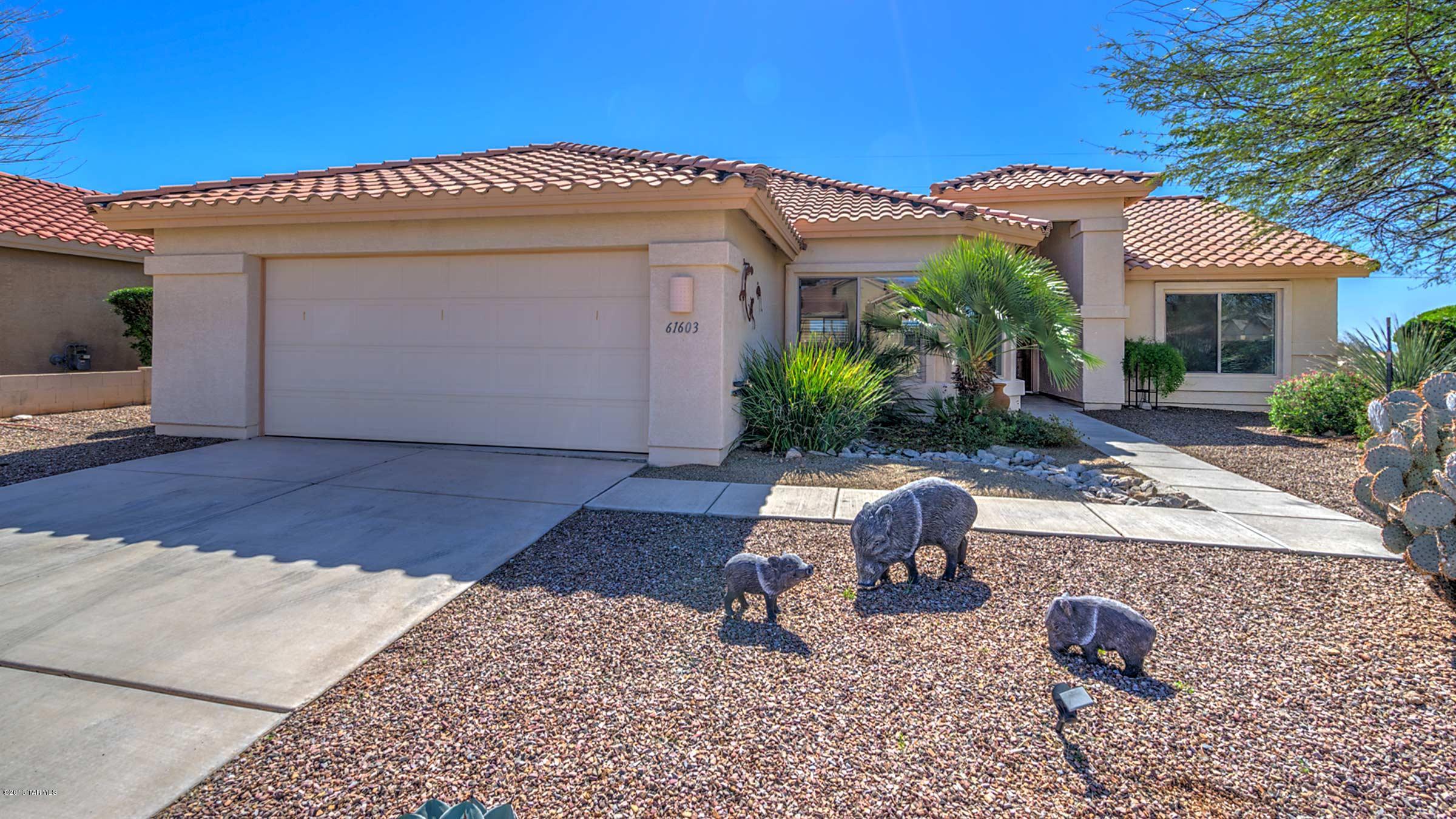 Saddlebrooke - Residential