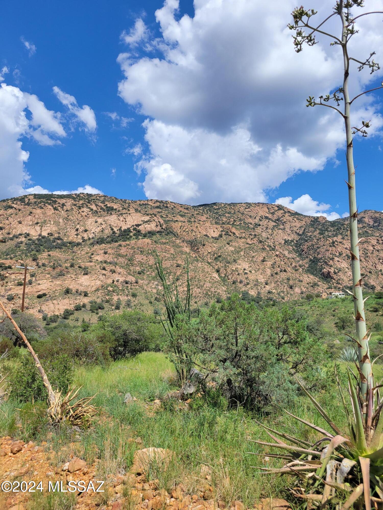 Build your dream home here! Beautiful mountain-side living with incredible views 360-degrees in much-desired canyon approaching Bisbee.  Located 10-minutes from Bisbee and 20-minutes from Sierra Vista, Building Sites in or around the oaks with incredible mountain views at about one-mile in elevation. Enjoy the seasonal monsoons and occasional snow flurries...Bisbee has the best weather anywhere in the US.  Abundant wildlife with mule deer, white-tailed coues deer, coatamundi, bobcats, and a huge variety of bird life.  Two additional connecting lots may be available separately from the Seller.  Overhead power lines, but no current access to power.  Neighbors advise they have found water (~300-ft).  Owner Agent.