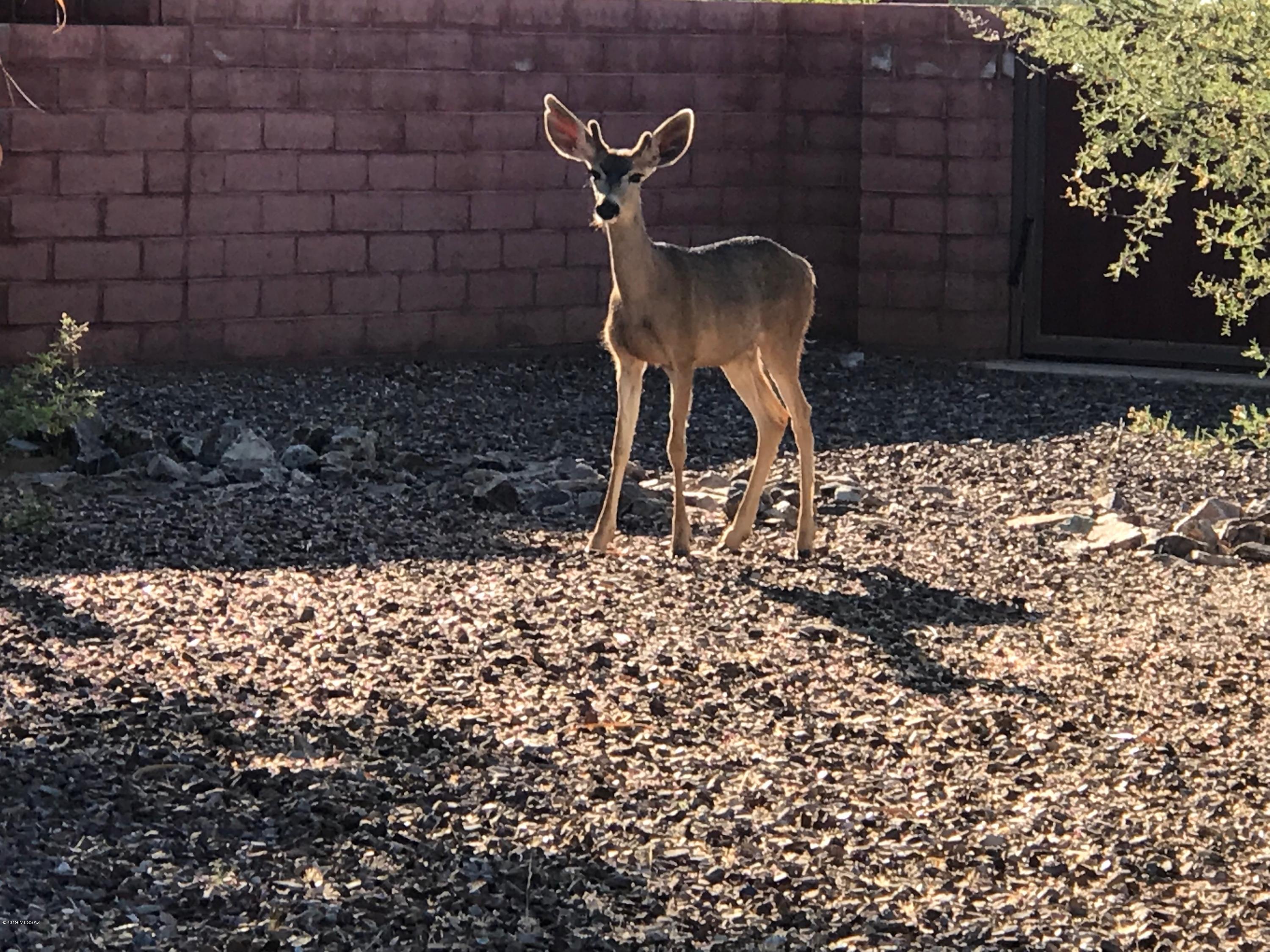 Coyote Creek (1-395) - Land
