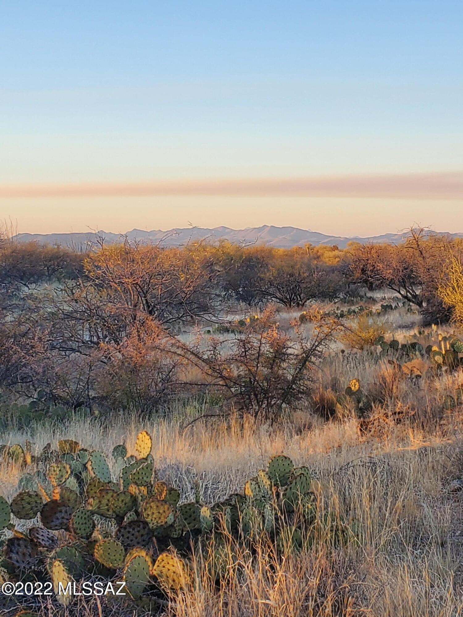 Diamond Bell Ranch - Tucson Unit 8 (1-385) - Land