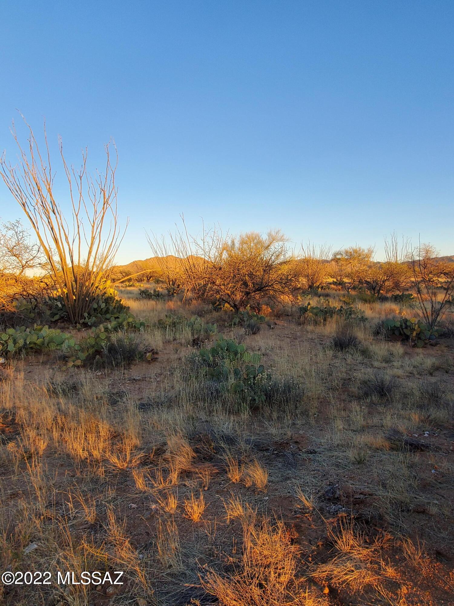 Diamond Bell Ranch - Tucson Unit 8 (1-385) - Land