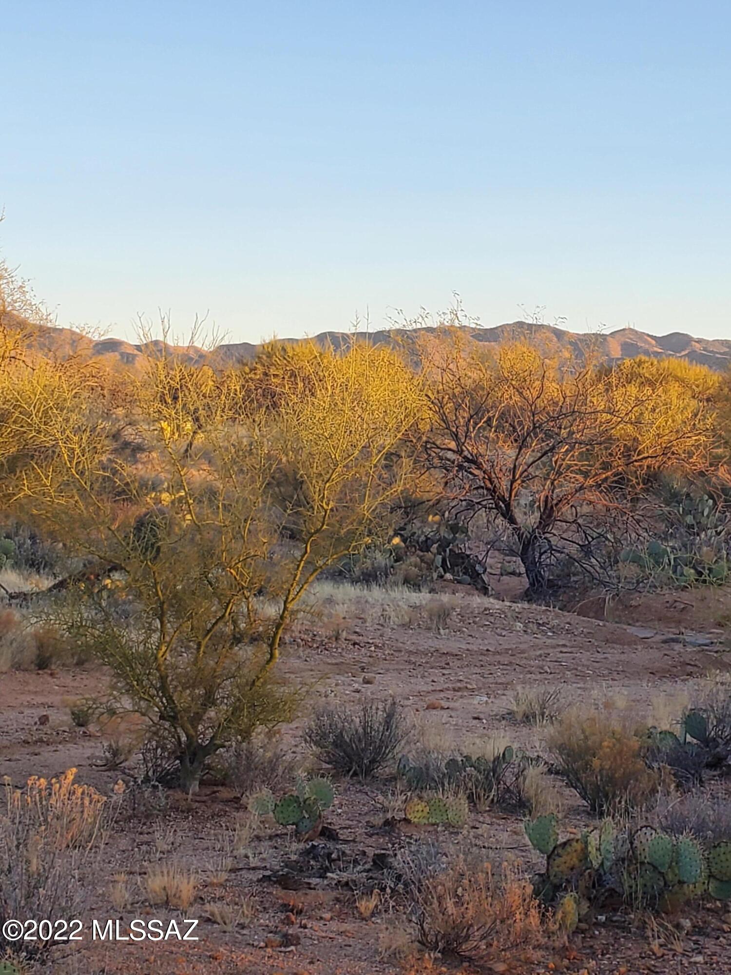 Diamond Bell Ranch - Tucson Unit 8 (1-385) - Land