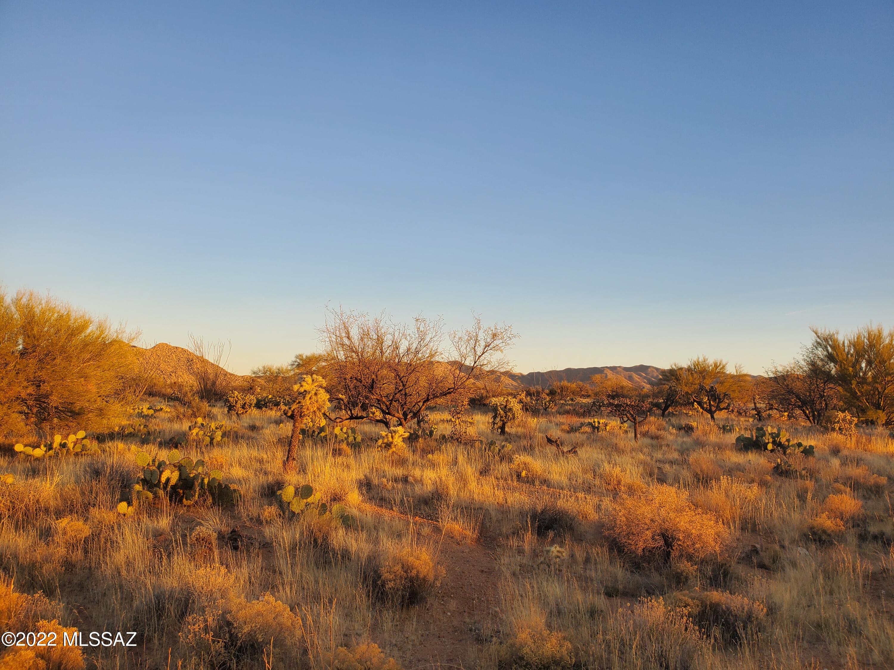 Diamond Bell Ranch - Tucson Unit 8 (1-385) - Land