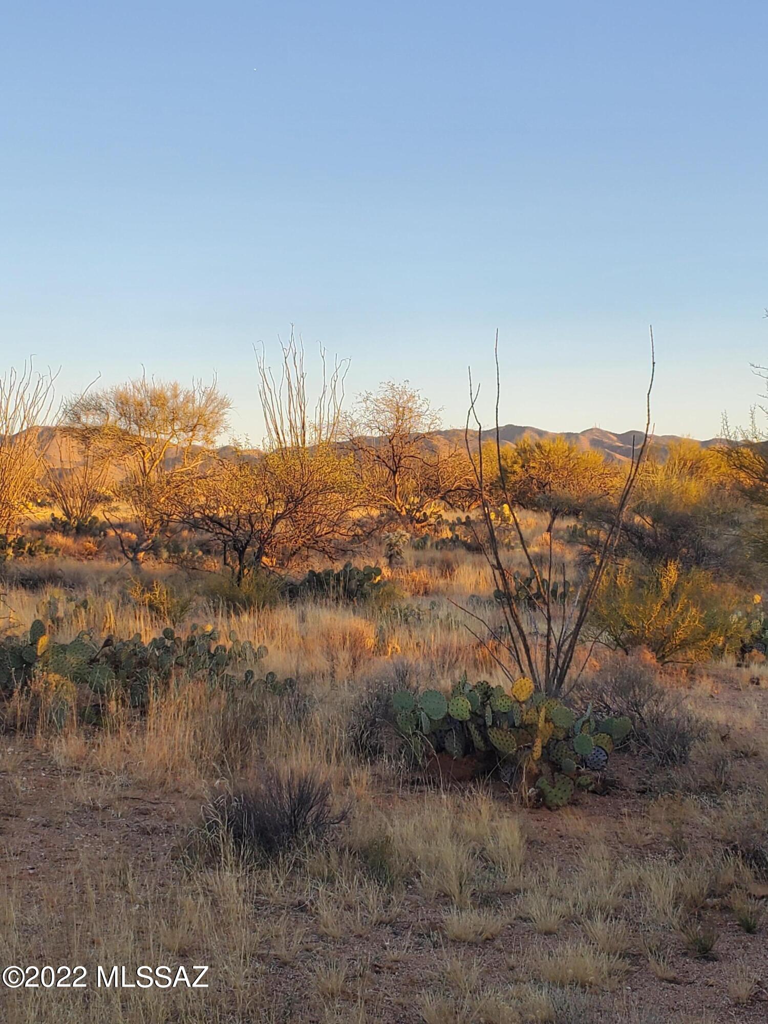 Diamond Bell Ranch - Tucson Unit 8 (1-385) - Land