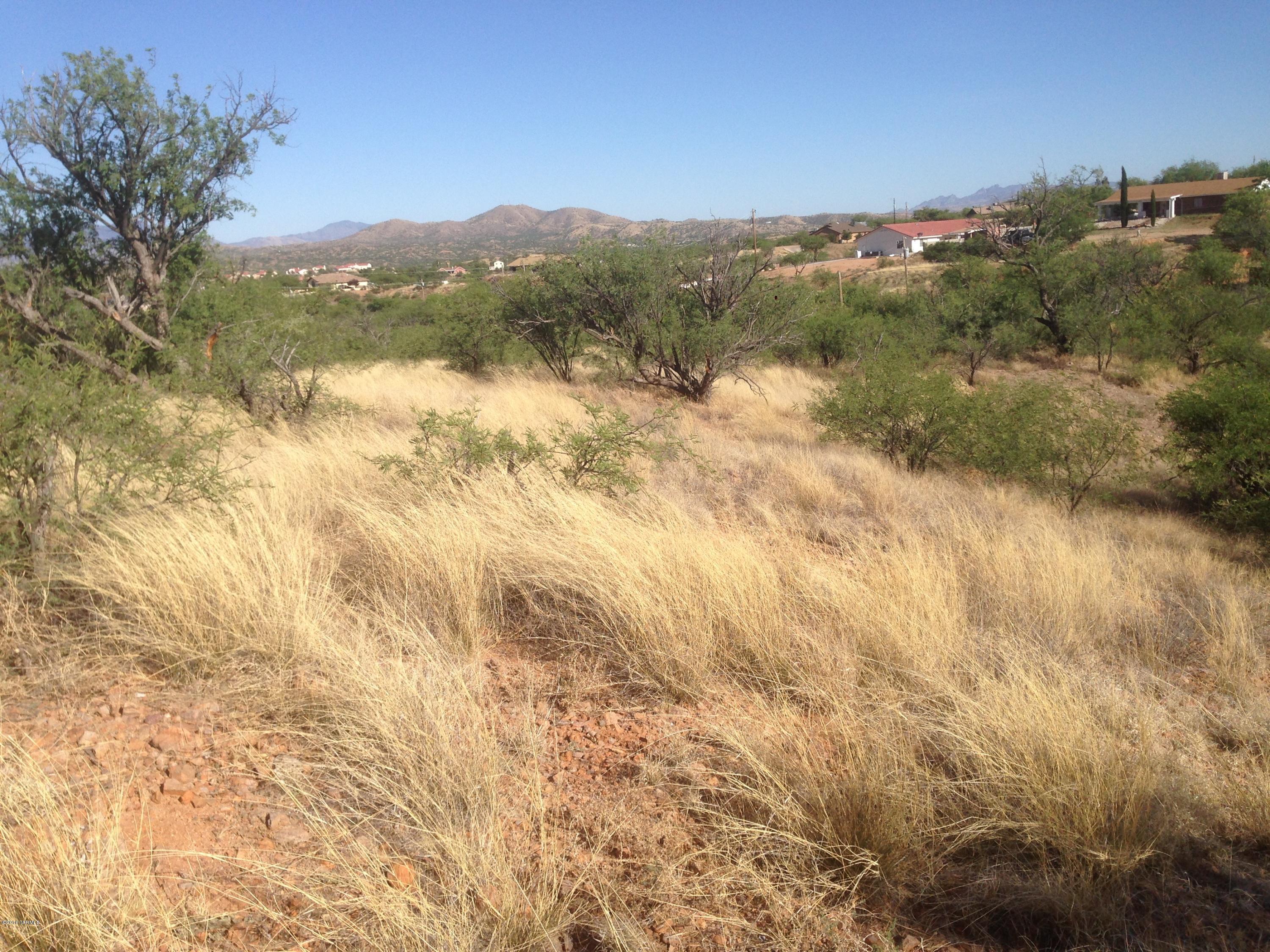 Gently sloping lot on paved street with nice views and good access to Interstate and community of Rio Rico. Neighborhood is largely developed with homes in the $110K to $130K range on lots of similar size. Water and electricity are to the property line. With no homeowner association, you are only restricted by Santa Cruz County zoning. Invest or build your dream home in this rural setting!
