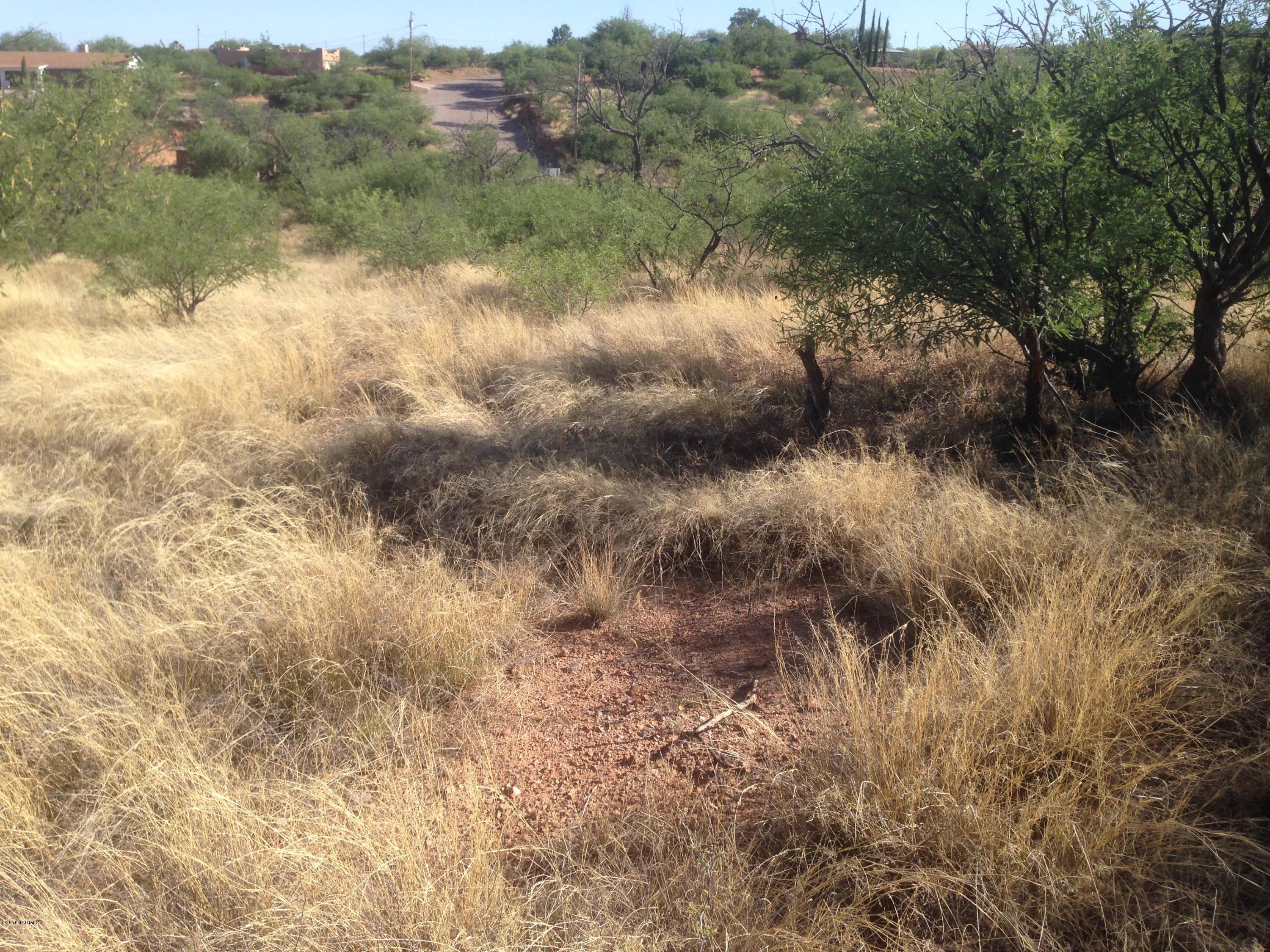 Rio Rico Estates 8 - Land