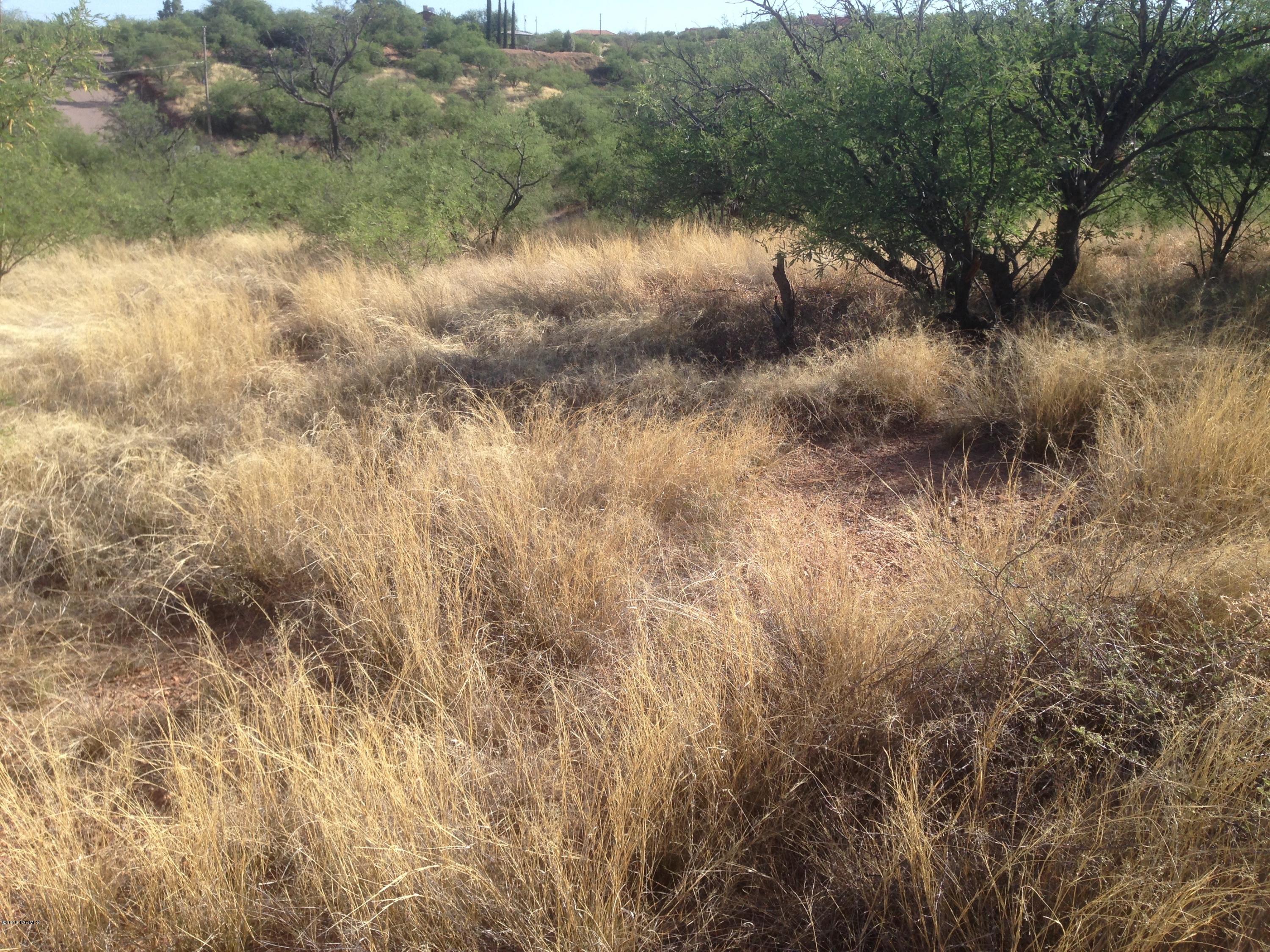 Rio Rico Estates 8 - Land