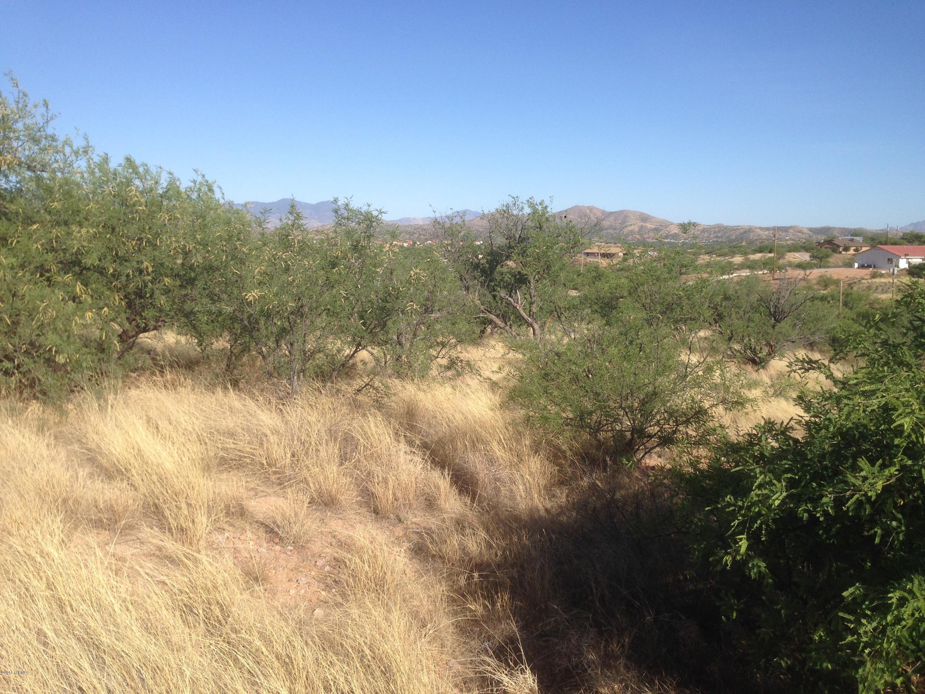 Rio Rico Estates 8 - Land