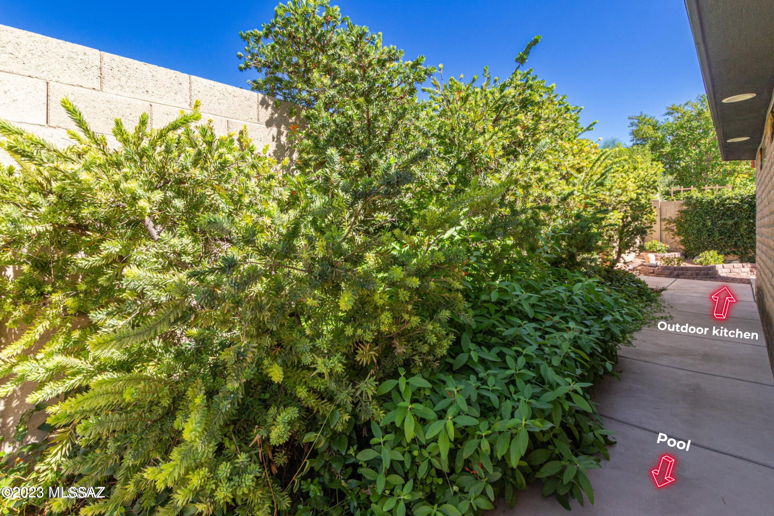 Vista Del Rio (1-217) - Residential