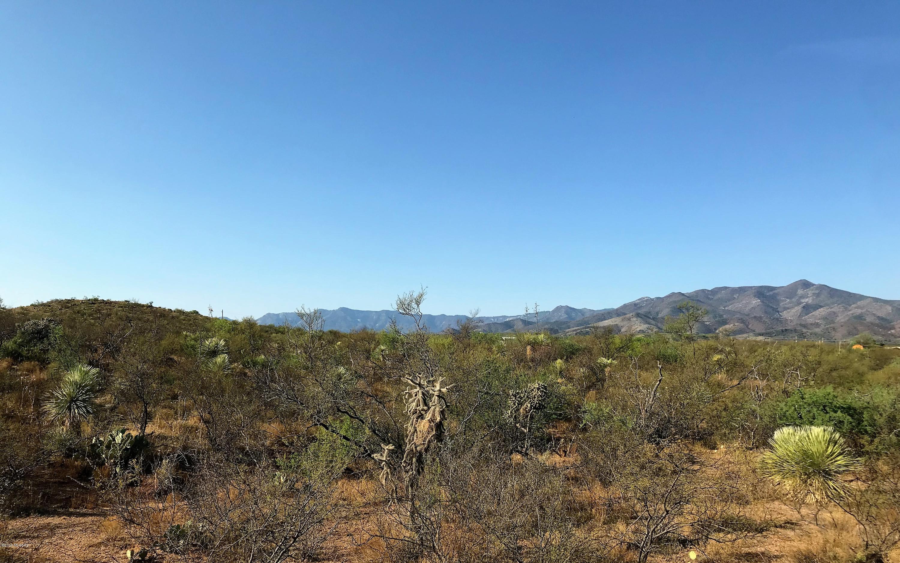 Come picture your dream home on this 1.25 Acre lot.  Mobile homes and site built homes allowed.  Beautiful views from this amazing property will allow you to enjoy everything Oracle has to offer - including those cooler temperatures at 4500'.  Electricity is located at the Well Site.  Surrounding lots are also available for purhcase.