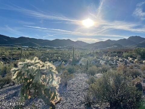 Saguaro Cliffs (1-61) - Land