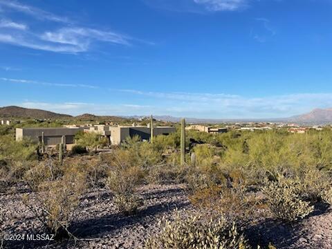 Saguaro Cliffs (1-61) - Land