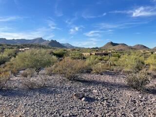 Saguaro Cliffs (1-61) - Land
