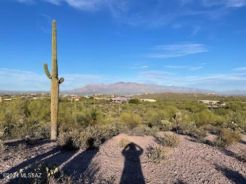 Saguaro Cliffs (1-61) - Land