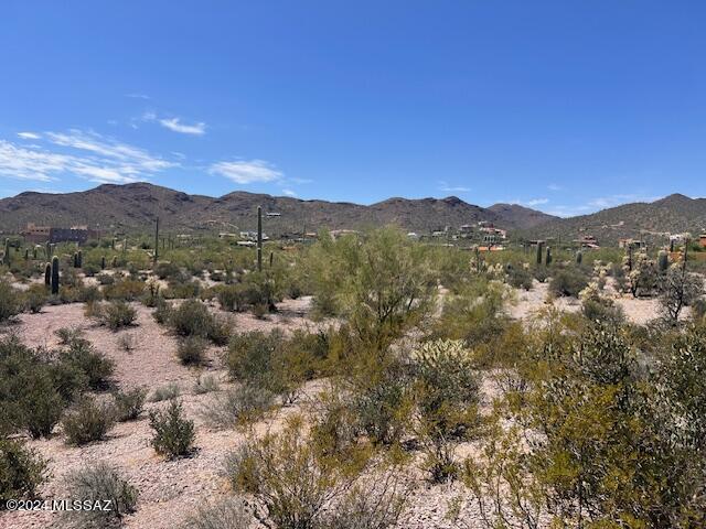 Saguaro Cliffs (1-61) - Land