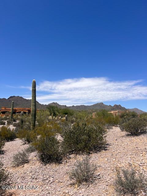 Saguaro Cliffs (1-61) - Land