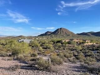 Saguaro Cliffs (1-61) - Land
