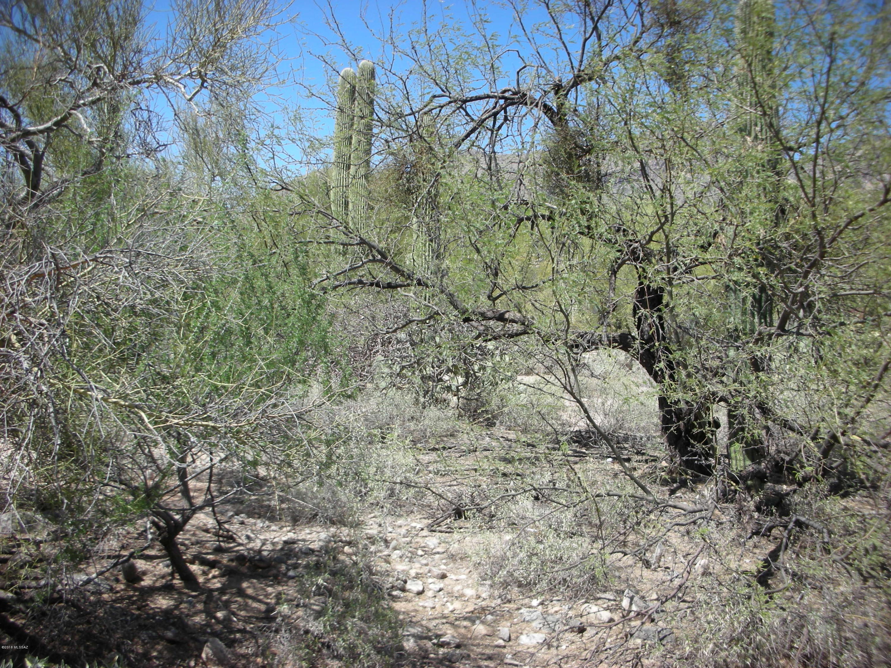 La Paloma Ridge Estates I (1-69) - Land