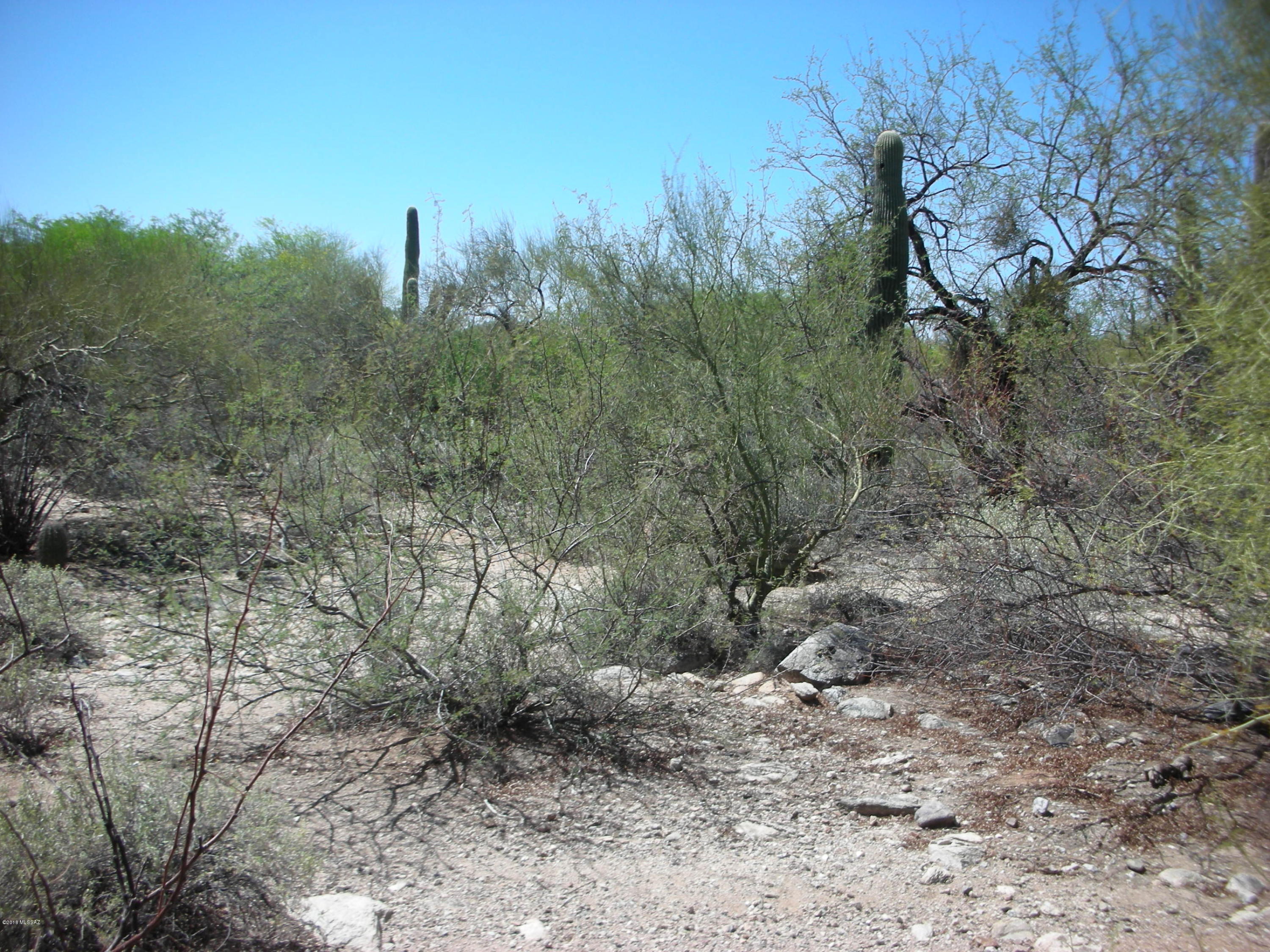 La Paloma Ridge Estates I (1-69) - Land