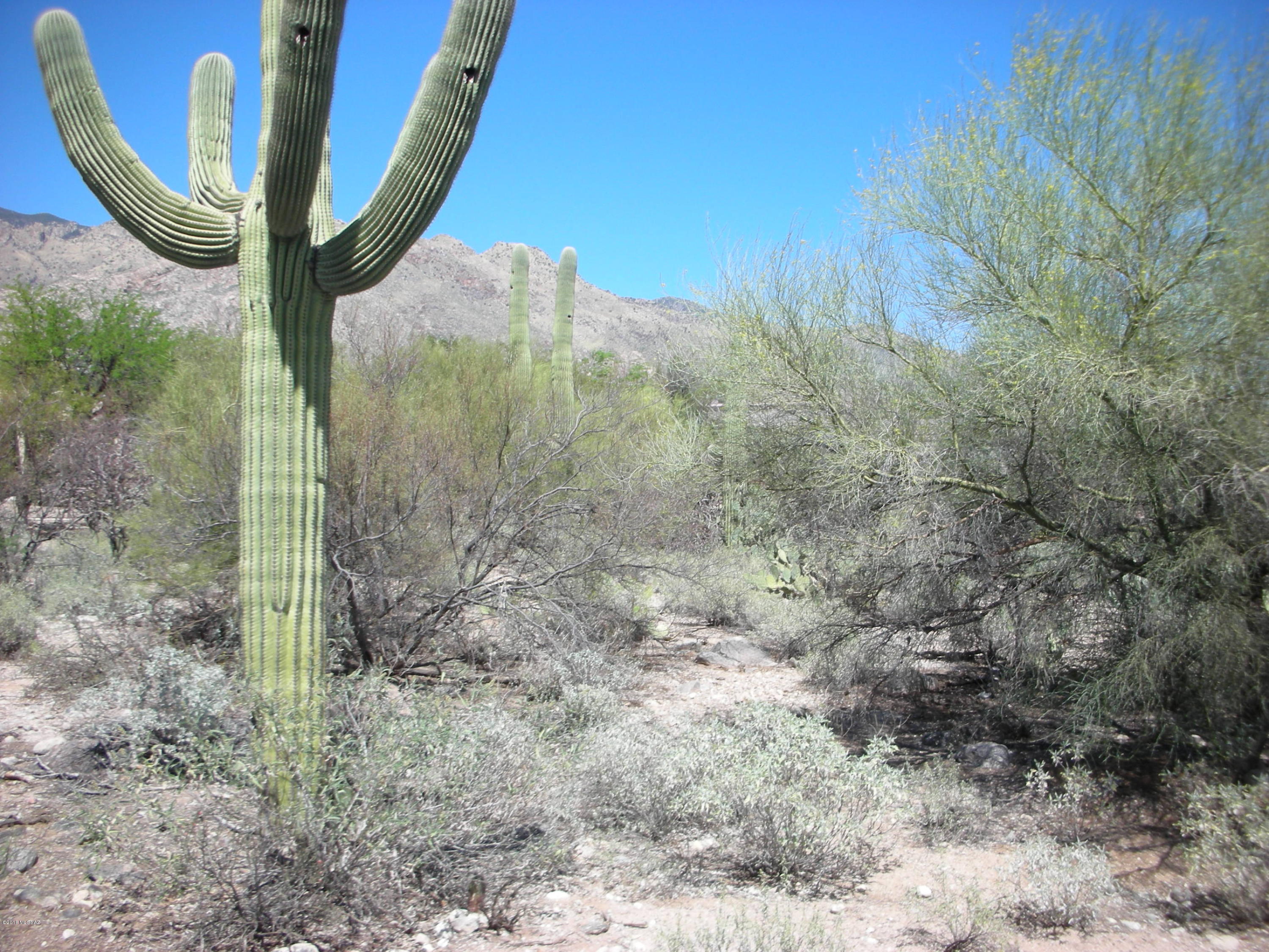 La Paloma Ridge Estates I (1-69) - Land