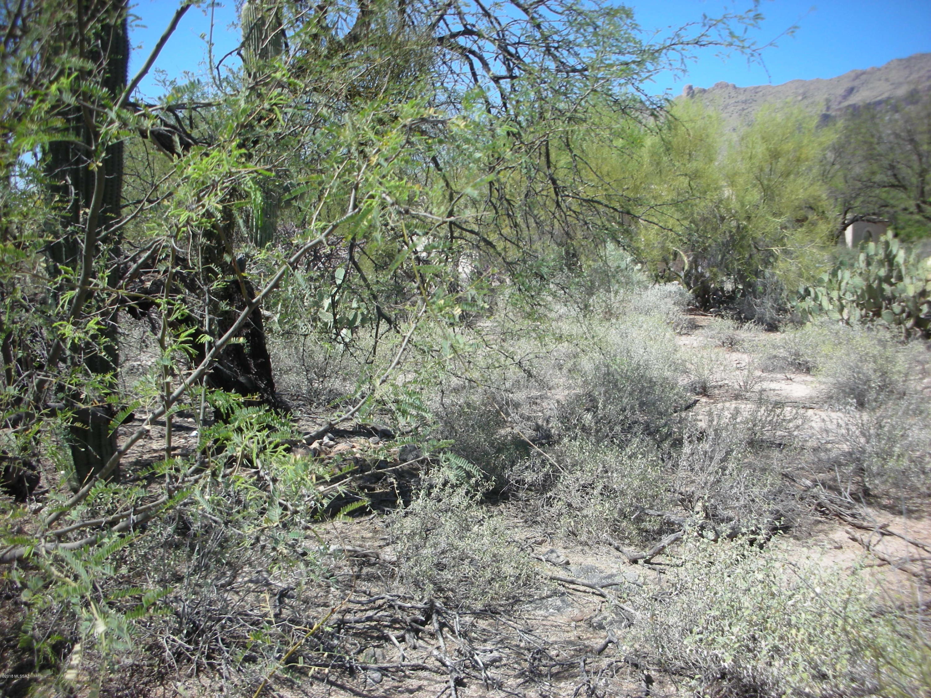 La Paloma Ridge Estates I (1-69) - Land