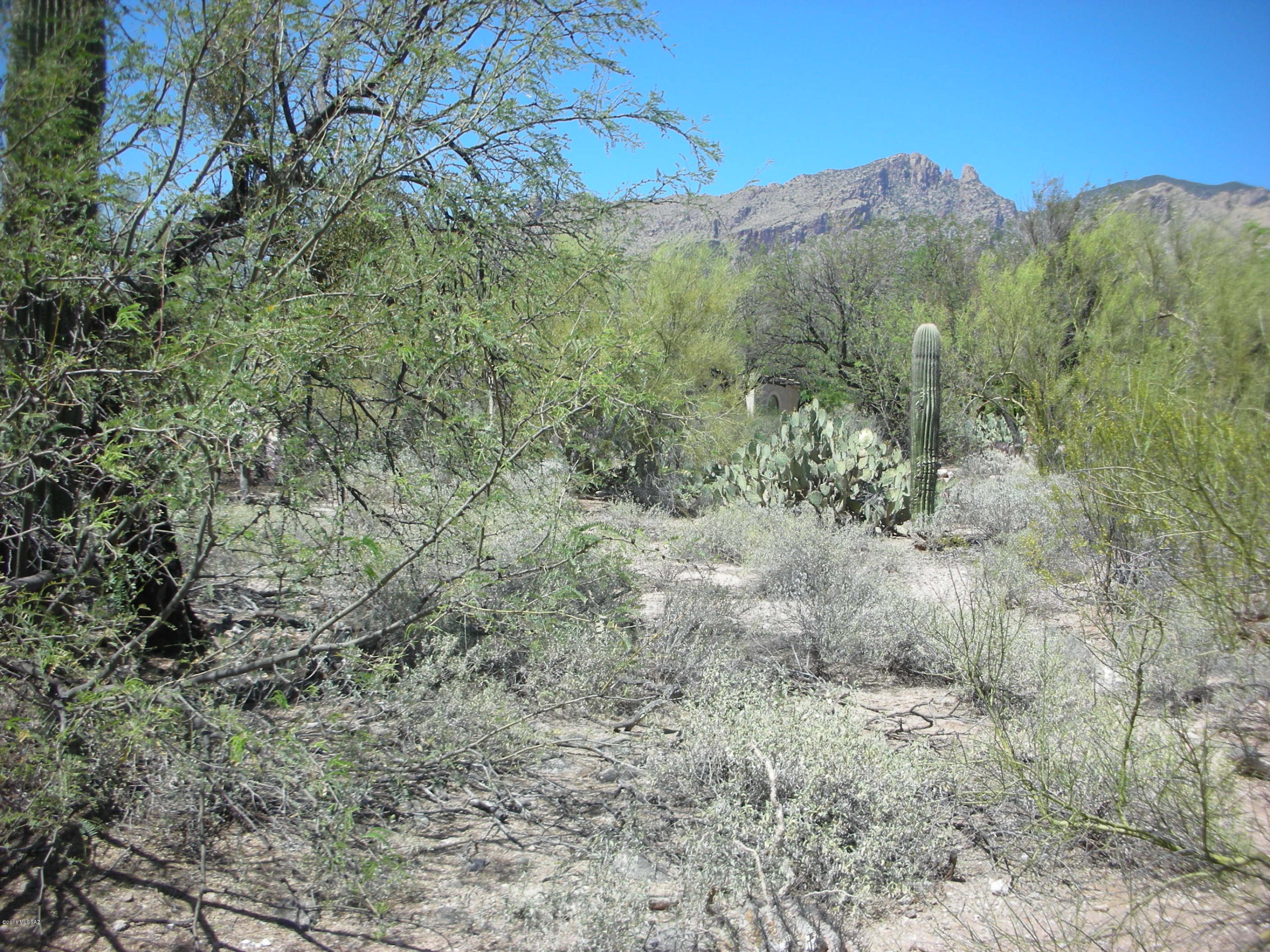 La Paloma Ridge Estates I (1-69) - Land